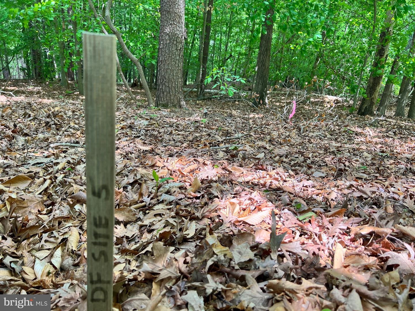 OLD COLCHESTER RD, LORTON, Virginia 22079, ,Land,For Sale,OLD COLCHESTER RD,VAFX2263404 MLS # VAFX2263404 OLD COLCHESTER RD, LORTON, Virginia 22079, ,Land,For Sale,OLD COLCHESTER RD,VAFX2263404 MLS # VAFX2263404