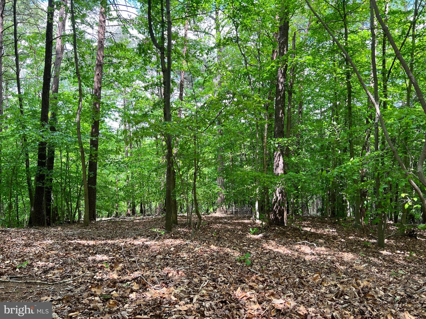 OLD COLCHESTER RD, LORTON, Virginia 22079, ,Land,For Sale,OLD COLCHESTER RD,VAFX2263404 MLS # VAFX2263404 OLD COLCHESTER RD, LORTON, Virginia 22079, ,Land,For Sale,OLD COLCHESTER RD,VAFX2263404 MLS # VAFX2263404