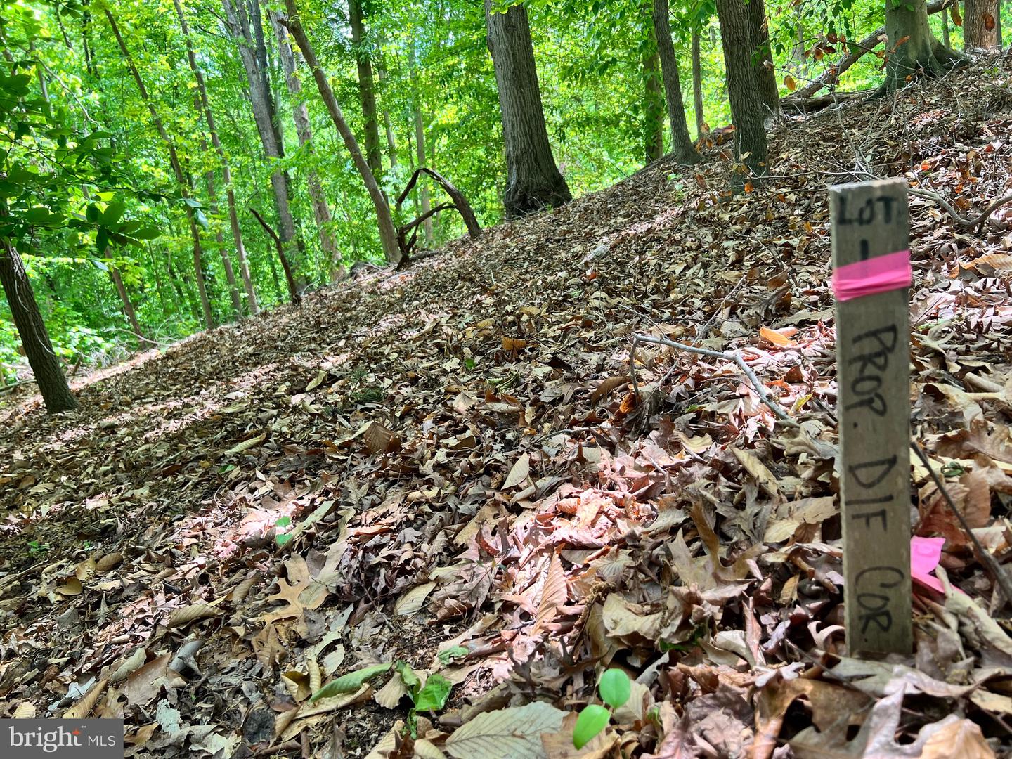 OLD COLCHESTER RD, LORTON, Virginia 22079, ,Land,For Sale,OLD COLCHESTER RD,VAFX2263404 MLS # VAFX2263404 OLD COLCHESTER RD, LORTON, Virginia 22079, ,Land,For Sale,OLD COLCHESTER RD,VAFX2263404 MLS # VAFX2263404