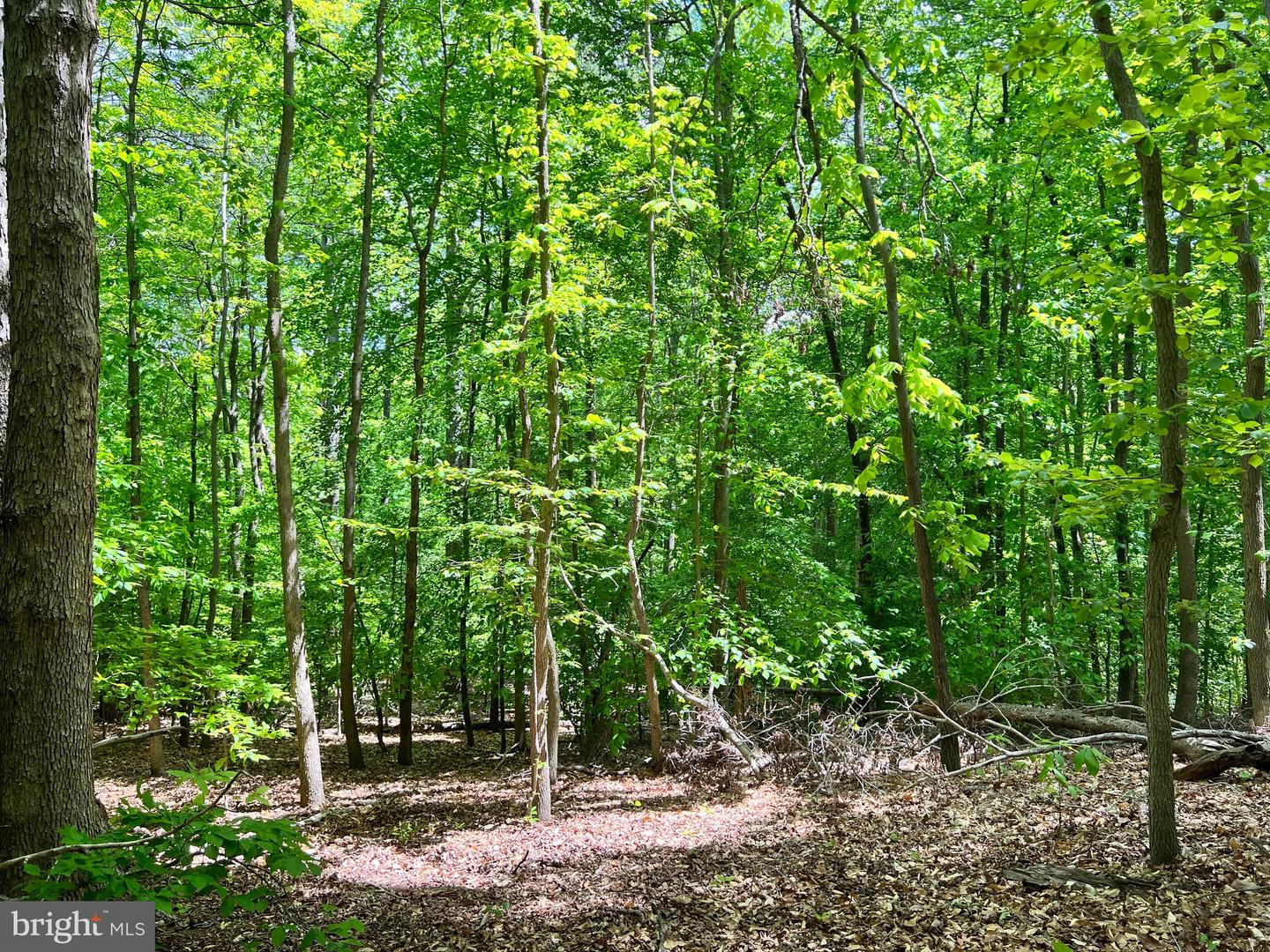 OLD COLCHESTER RD, LORTON, Virginia 22079, ,Land,For Sale,OLD COLCHESTER RD,VAFX2263404 MLS # VAFX2263404 OLD COLCHESTER RD, LORTON, Virginia 22079, ,Land,For Sale,OLD COLCHESTER RD,VAFX2263404 MLS # VAFX2263404