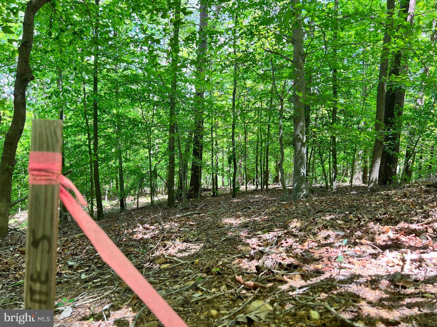 OLD COLCHESTER RD, LORTON, Virginia 22079, ,Land,For Sale,OLD COLCHESTER RD,VAFX2263404 MLS # VAFX2263404 OLD COLCHESTER RD, LORTON, Virginia 22079, ,Land,For Sale,OLD COLCHESTER RD,VAFX2263404 MLS # VAFX2263404