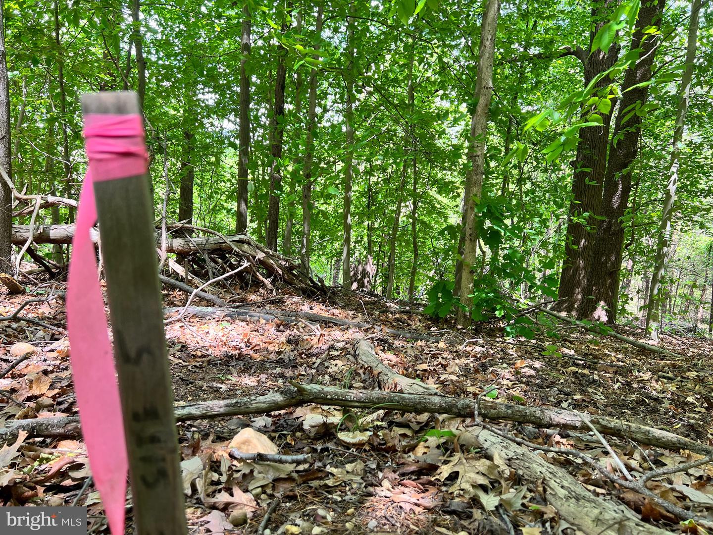 OLD COLCHESTER RD, LORTON, Virginia 22079, ,Land,For Sale,OLD COLCHESTER RD,VAFX2263404 MLS # VAFX2263404 OLD COLCHESTER RD, LORTON, Virginia 22079, ,Land,For Sale,OLD COLCHESTER RD,VAFX2263404 MLS # VAFX2263404