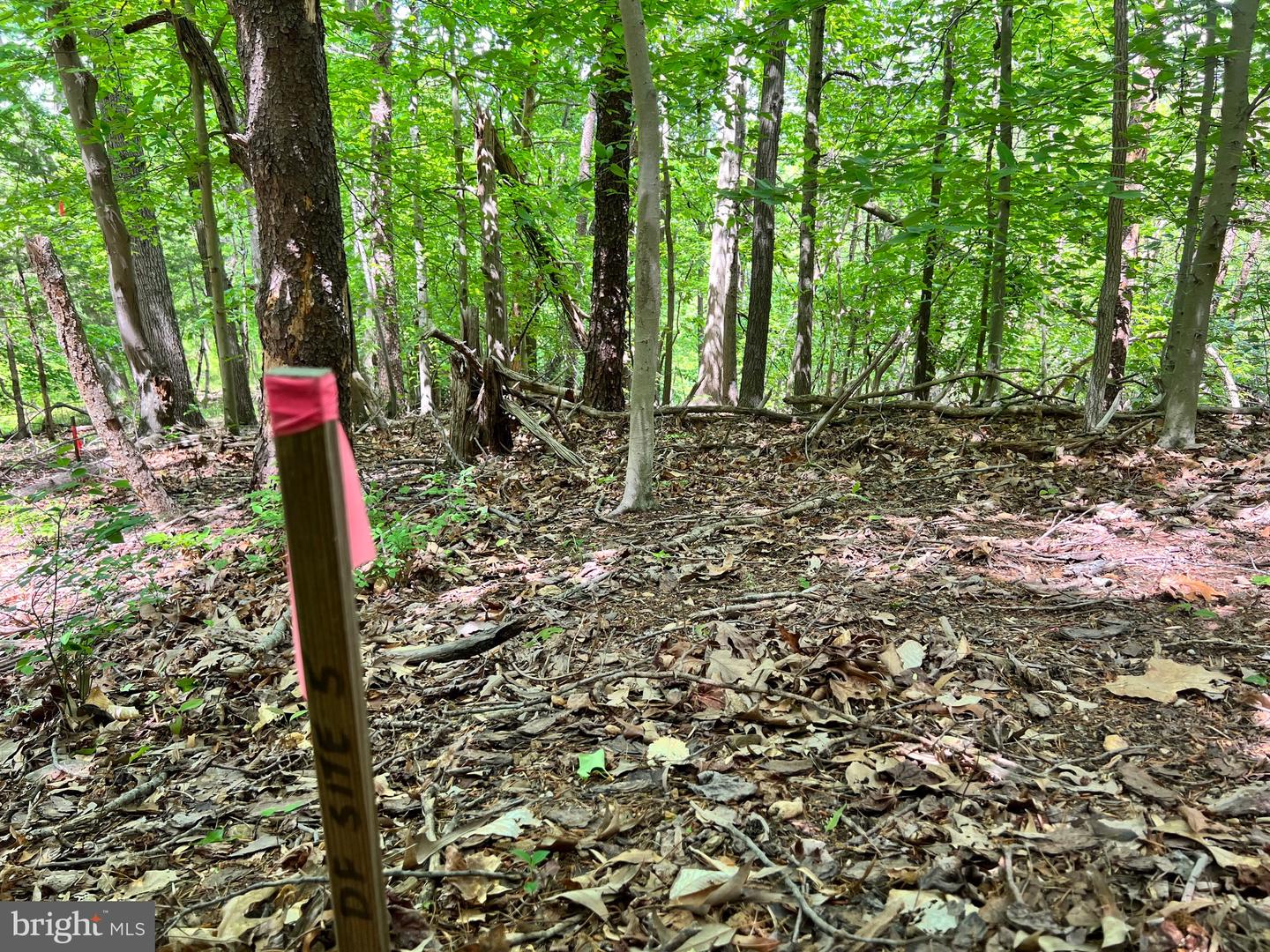 OLD COLCHESTER RD, LORTON, Virginia 22079, ,Land,For Sale,OLD COLCHESTER RD,VAFX2263404 MLS # VAFX2263404 OLD COLCHESTER RD, LORTON, Virginia 22079, ,Land,For Sale,OLD COLCHESTER RD,VAFX2263404 MLS # VAFX2263404