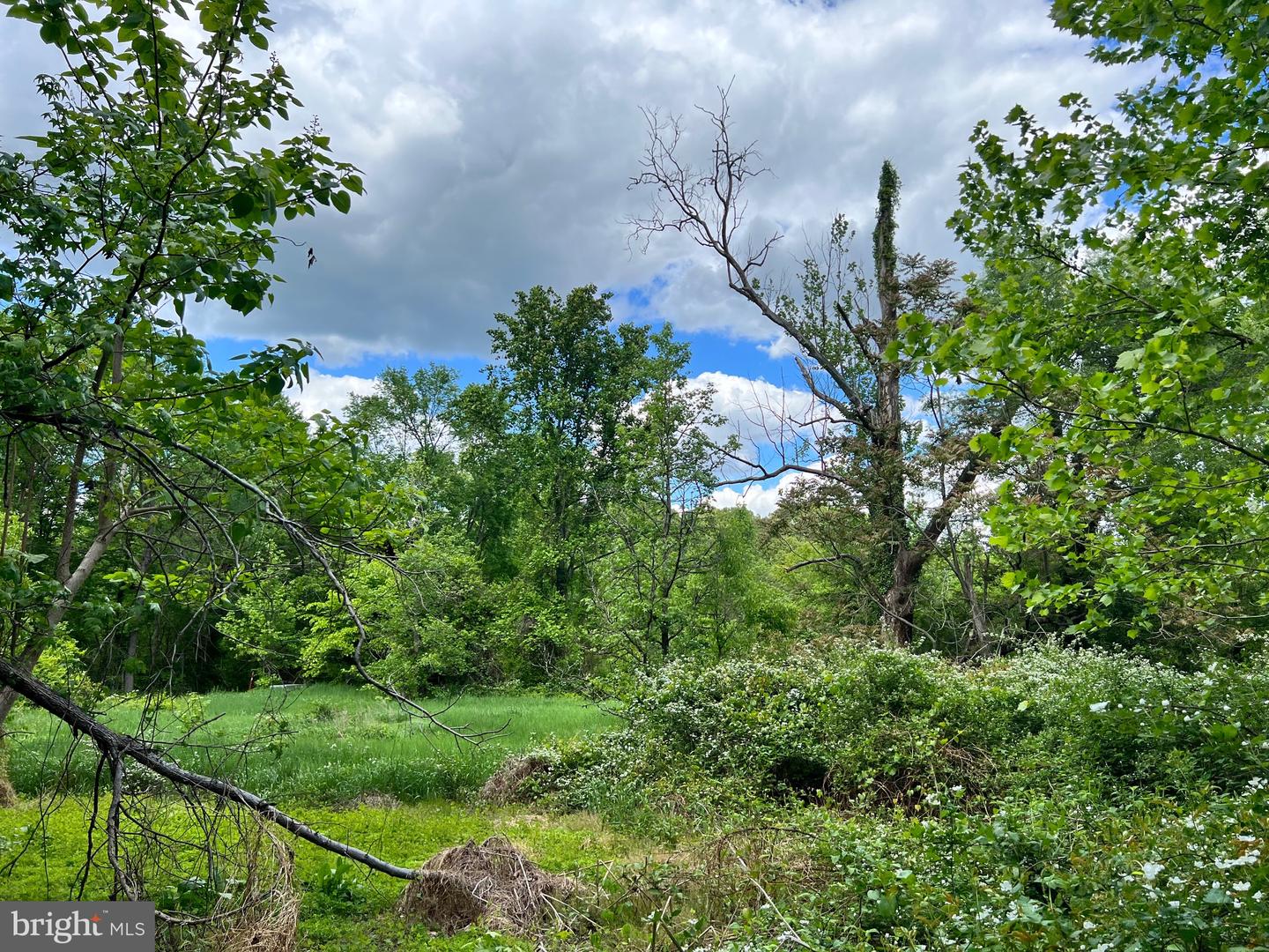 OLD COLCHESTER RD, LORTON, Virginia 22079, ,Land,For Sale,OLD COLCHESTER RD,VAFX2263404 MLS # VAFX2263404 OLD COLCHESTER RD, LORTON, Virginia 22079, ,Land,For Sale,OLD COLCHESTER RD,VAFX2263404 MLS # VAFX2263404