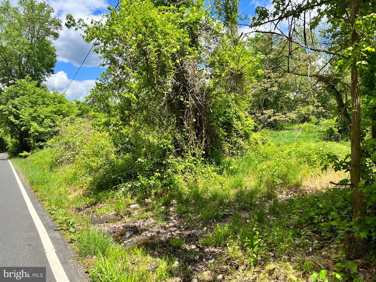 OLD COLCHESTER RD, LORTON, Virginia 22079, ,Land,For Sale,OLD COLCHESTER RD,VAFX2263404 MLS # VAFX2263404 OLD COLCHESTER RD, LORTON, Virginia 22079, ,Land,For Sale,OLD COLCHESTER RD,VAFX2263404 MLS # VAFX2263404