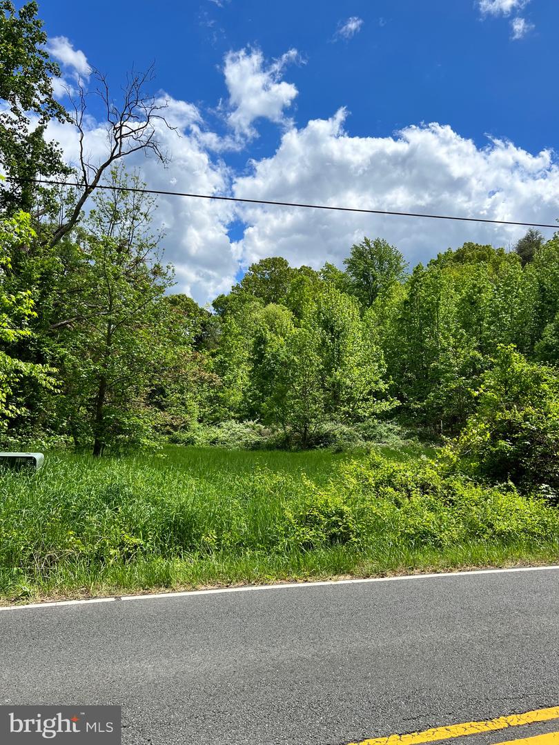 OLD COLCHESTER RD, LORTON, Virginia 22079, ,Land,For Sale,OLD COLCHESTER RD,VAFX2263404 MLS # VAFX2263404 OLD COLCHESTER RD, LORTON, Virginia 22079, ,Land,For Sale,OLD COLCHESTER RD,VAFX2263404 MLS # VAFX2263404
