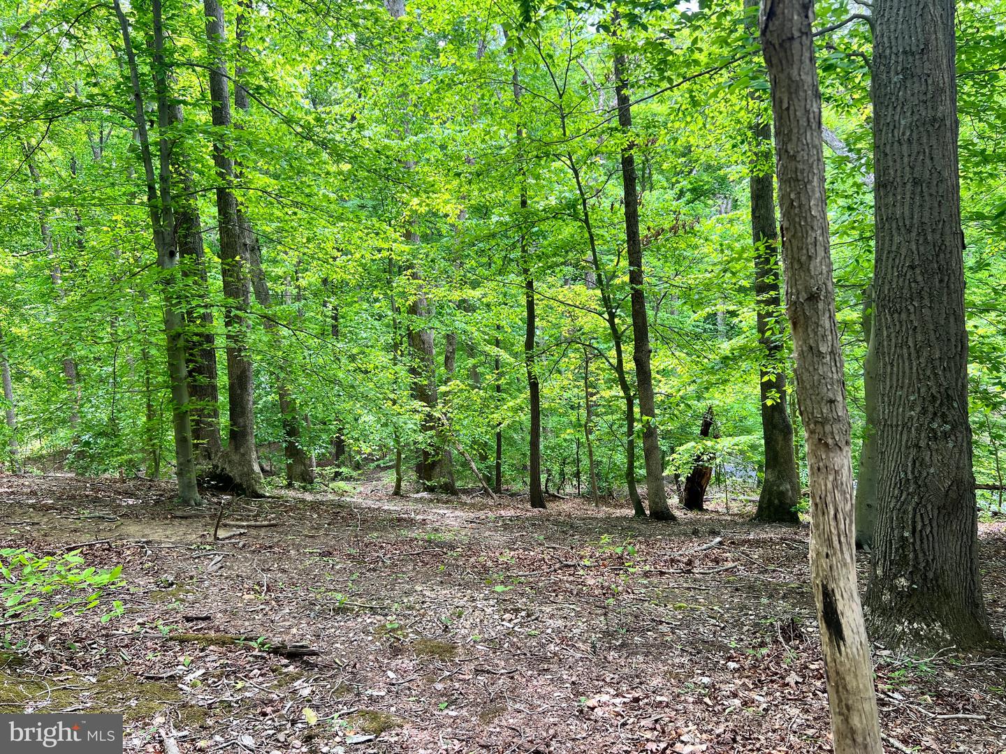 OLD COLCHESTER RD, LORTON, Virginia 22079, ,Land,For Sale,OLD COLCHESTER RD,VAFX2263404 MLS # VAFX2263404 OLD COLCHESTER RD, LORTON, Virginia 22079, ,Land,For Sale,OLD COLCHESTER RD,VAFX2263404 MLS # VAFX2263404