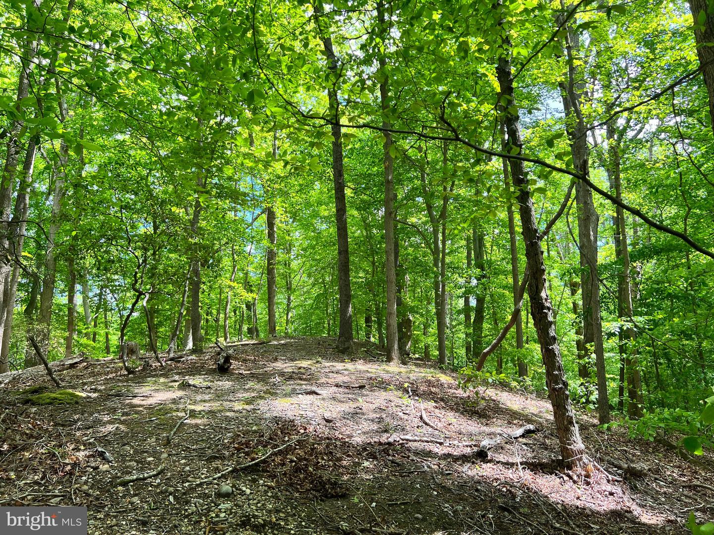 OLD COLCHESTER RD, LORTON, Virginia 22079, ,Land,For Sale,OLD COLCHESTER RD,VAFX2263404 MLS # VAFX2263404 OLD COLCHESTER RD, LORTON, Virginia 22079, ,Land,For Sale,OLD COLCHESTER RD,VAFX2263404 MLS # VAFX2263404