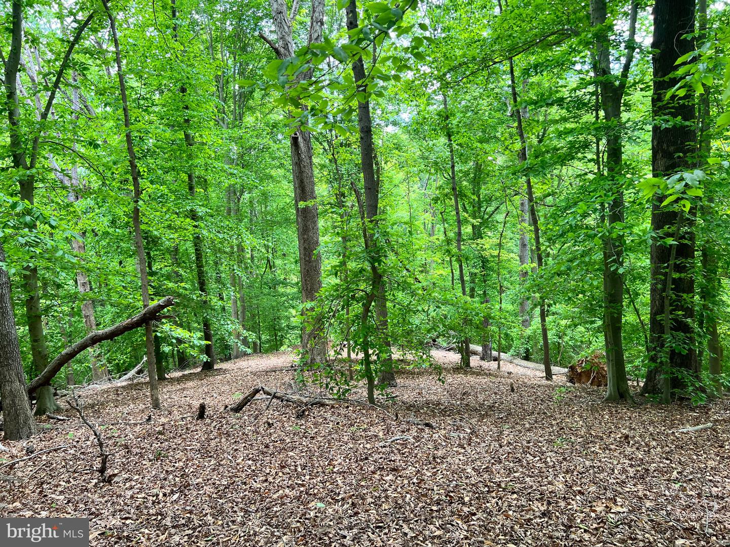 OLD COLCHESTER RD, LORTON, Virginia 22079, ,Land,For Sale,OLD COLCHESTER RD,VAFX2263404 MLS # VAFX2263404 OLD COLCHESTER RD, LORTON, Virginia 22079, ,Land,For Sale,OLD COLCHESTER RD,VAFX2263404 MLS # VAFX2263404