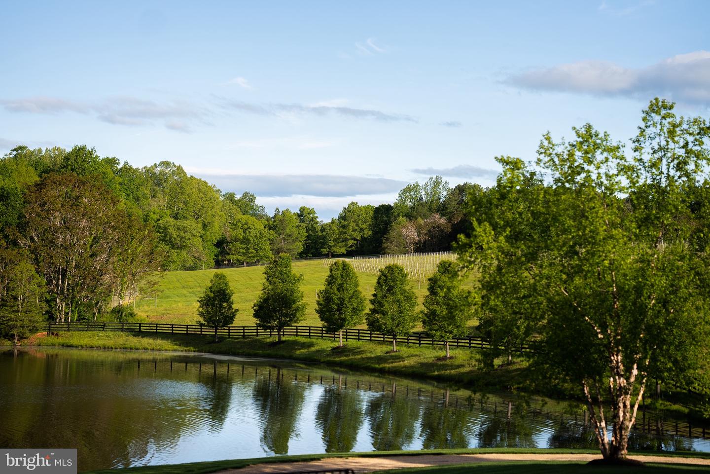 6887 BLENHEIM ROAD, SCOTTSVILLE, Virginia 24590, ,Farm,For Sale,6887 BLENHEIM ROAD,VAAB2001064 MLS # VAAB2001064 6887 BLENHEIM ROAD, SCOTTSVILLE, Virginia 24590, ,Farm,For Sale,6887 BLENHEIM ROAD,VAAB2001064 MLS # VAAB2001064