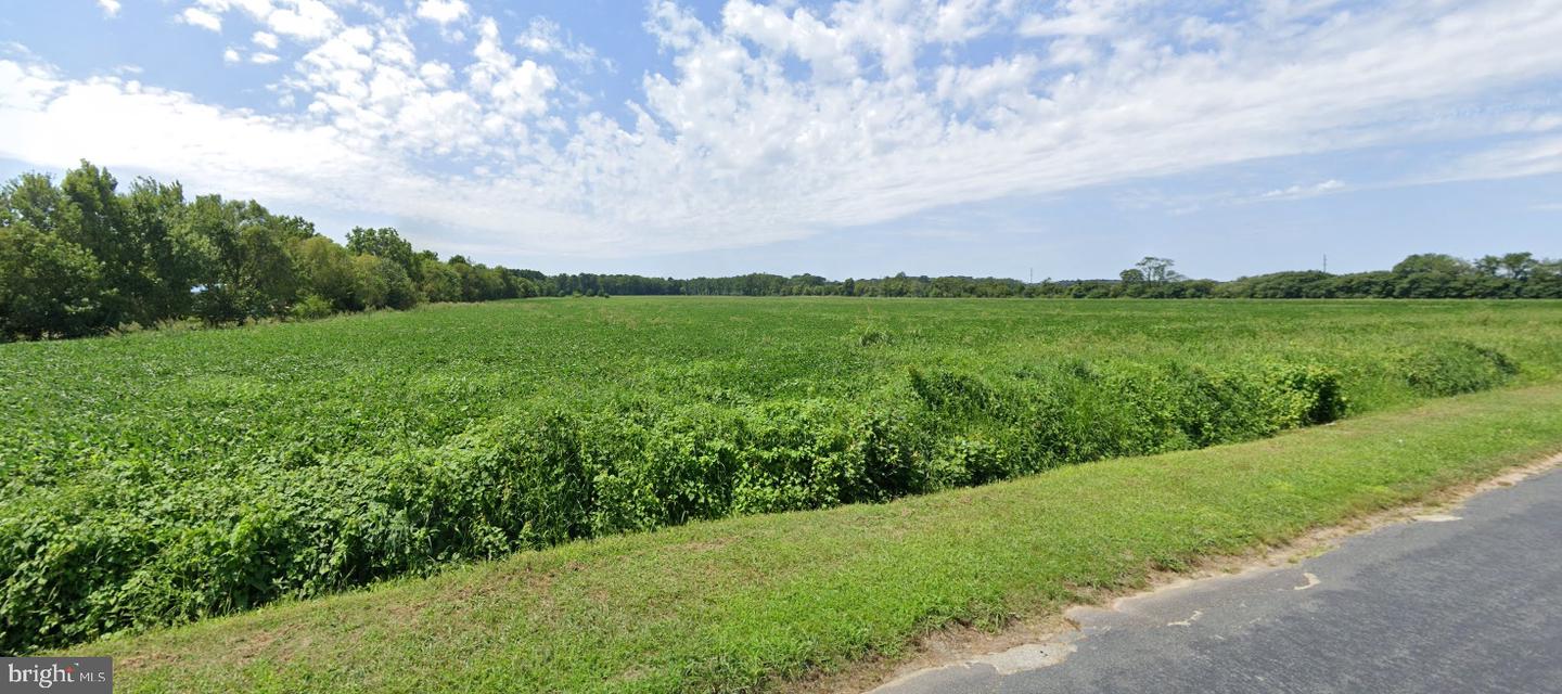 0 FISHER RD, PARKSLEY, Virginia 23421, ,Land,For Sale,0 FISHER RD,VAAC2002206 MLS # VAAC2002206 0 FISHER RD, PARKSLEY, Virginia 23421, ,Land,For Sale,0 FISHER RD,VAAC2002206 MLS # VAAC2002206