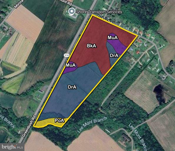 0 FISHER RD, PARKSLEY, Virginia 23421, ,Land,For Sale,0 FISHER RD,VAAC2002206 MLS # VAAC2002206 0 FISHER RD, PARKSLEY, Virginia 23421, ,Land,For Sale,0 FISHER RD,VAAC2002206 MLS # VAAC2002206
