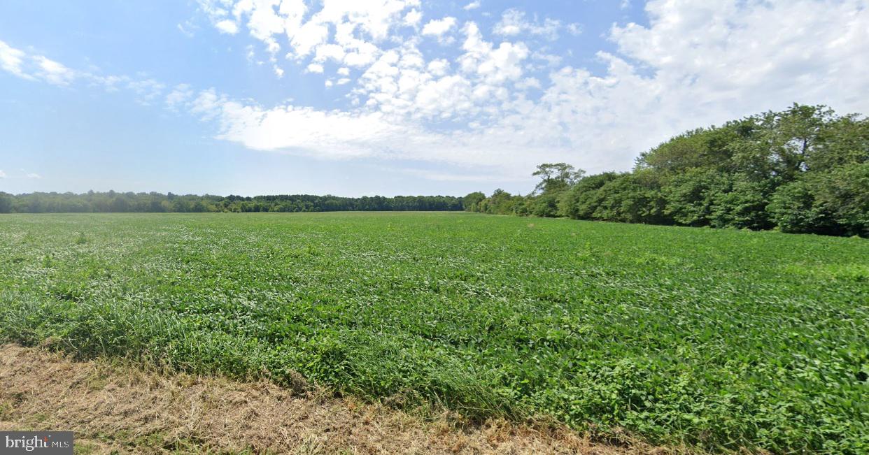 0 FISHER RD, PARKSLEY, Virginia 23421, ,Land,For Sale,0 FISHER RD,VAAC2002206 MLS # VAAC2002206 0 FISHER RD, PARKSLEY, Virginia 23421, ,Land,For Sale,0 FISHER RD,VAAC2002206 MLS # VAAC2002206