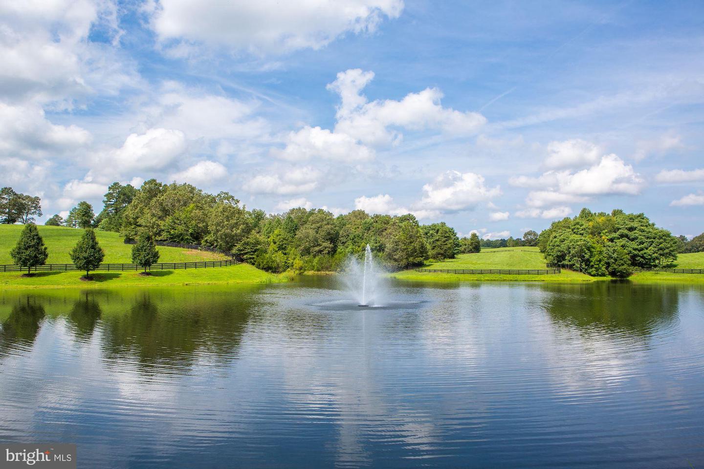 6887 BLENHEIM ROAD, SCOTTSVILLE, Virginia 24590, ,Farm,For Sale,6887 BLENHEIM ROAD,VAAB2001062 MLS # VAAB2001062 6887 BLENHEIM ROAD, SCOTTSVILLE, Virginia 24590, ,Farm,For Sale,6887 BLENHEIM ROAD,VAAB2001062 MLS # VAAB2001062