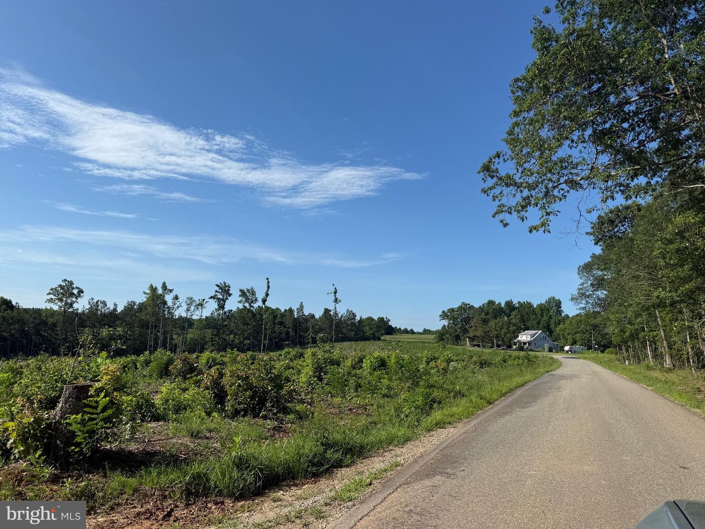 TBD CARY SHOP RD, BURKEVILLE, Virginia 23922, ,Farm,For Sale,TBD CARY SHOP RD,VANW2000060 MLS # VANW2000060