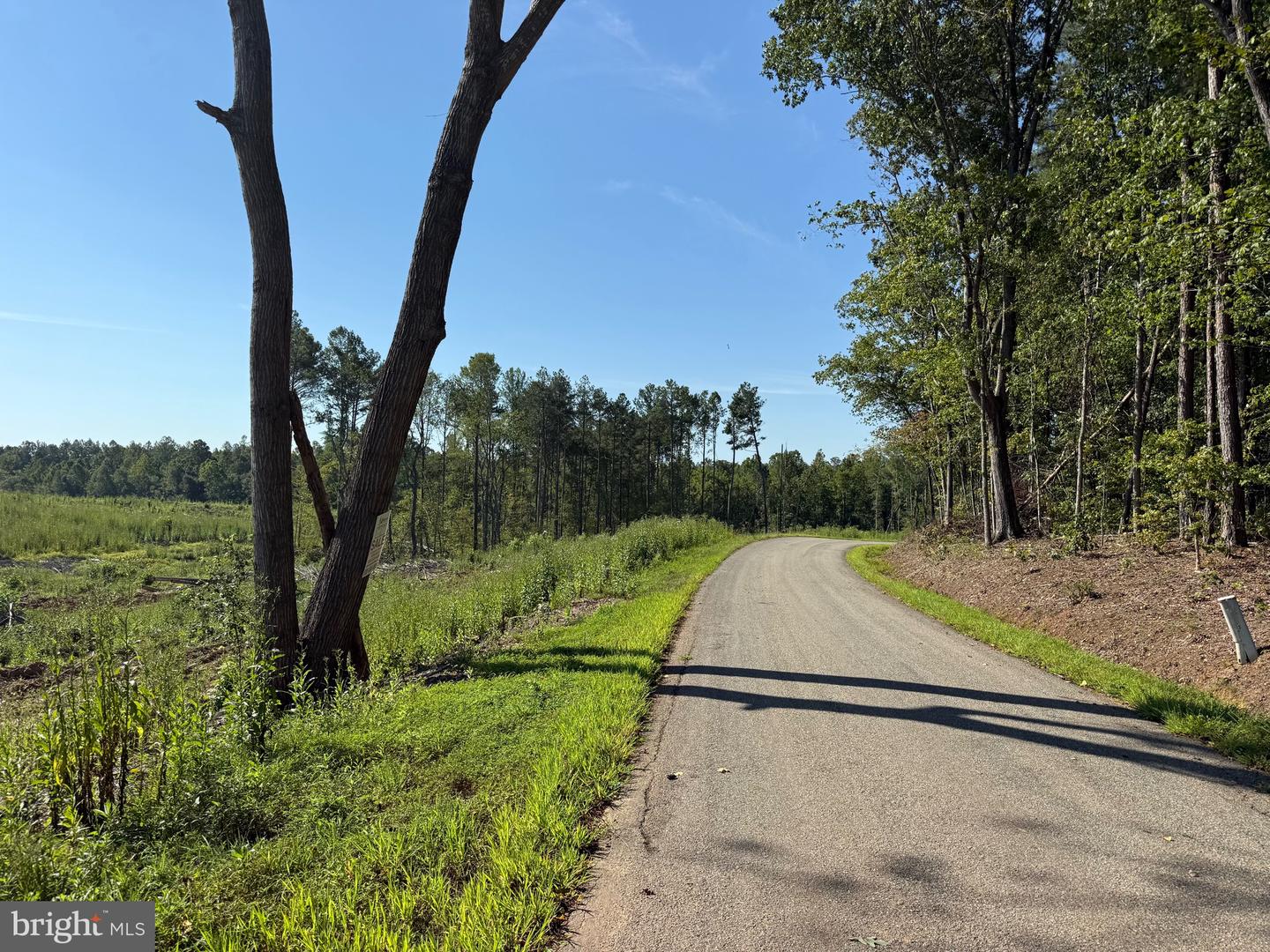 TBD CARY SHOP RD, BURKEVILLE, Virginia 23922, ,Farm,For Sale,TBD CARY SHOP RD,VANW2000060 MLS # VANW2000060