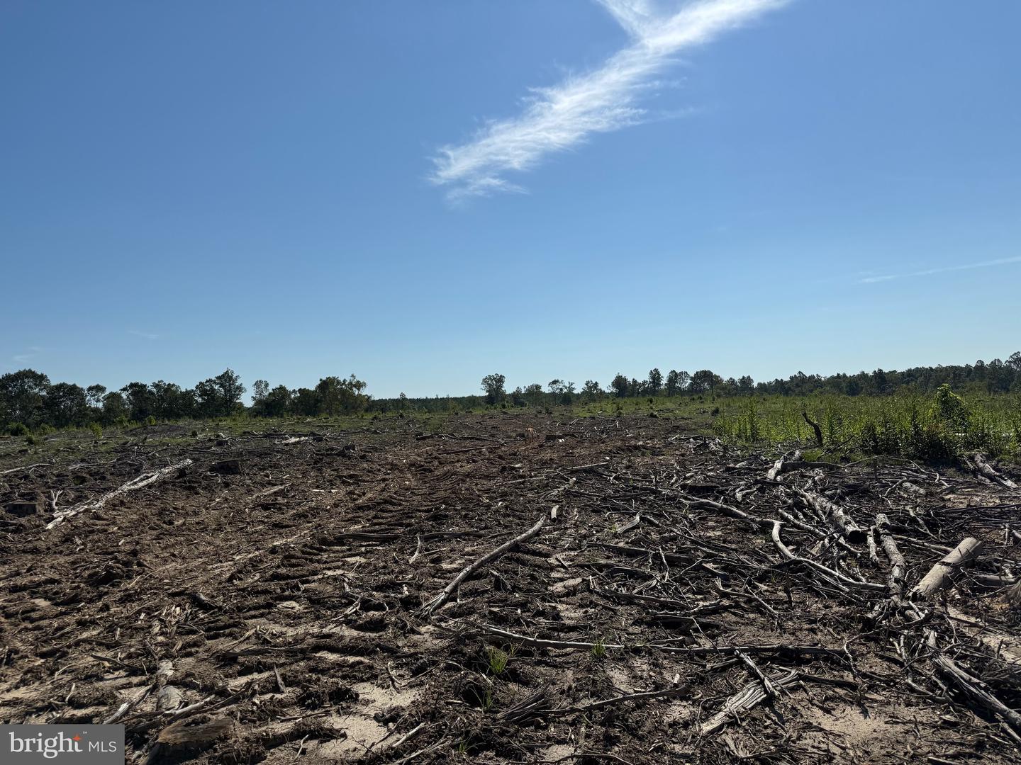 TBD CARY SHOP RD, BURKEVILLE, Virginia 23922, ,Farm,For Sale,TBD CARY SHOP RD,VANW2000060 MLS # VANW2000060