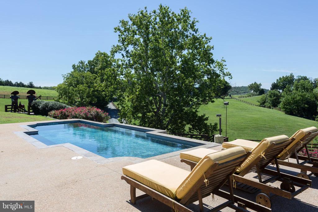 240 STONELEIGH RD, PALMYRA, Virginia 22963, 6 Bedrooms Bedrooms, ,4 BathroomsBathrooms,Residential,14,240 STONELEIGH RD,VAFN2000496 MLS # VAFN2000496 240 STONELEIGH RD, PALMYRA, Virginia 22963, 6 Bedrooms Bedrooms, ,4 BathroomsBathrooms,Residential,14,240 STONELEIGH RD,VAFN2000496 MLS # VAFN2000496