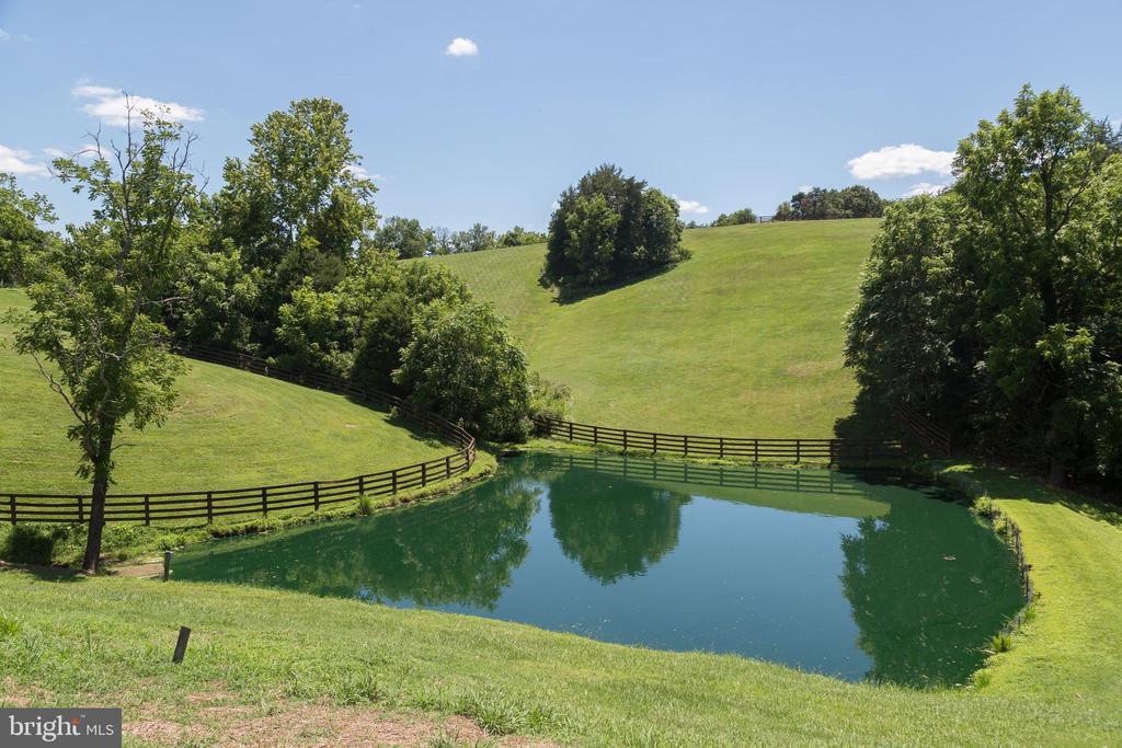 240 STONELEIGH RD, PALMYRA, Virginia 22963, 6 Bedrooms Bedrooms, ,4 BathroomsBathrooms,Residential,14,240 STONELEIGH RD,VAFN2000496 MLS # VAFN2000496 240 STONELEIGH RD, PALMYRA, Virginia 22963, 6 Bedrooms Bedrooms, ,4 BathroomsBathrooms,Residential,14,240 STONELEIGH RD,VAFN2000496 MLS # VAFN2000496