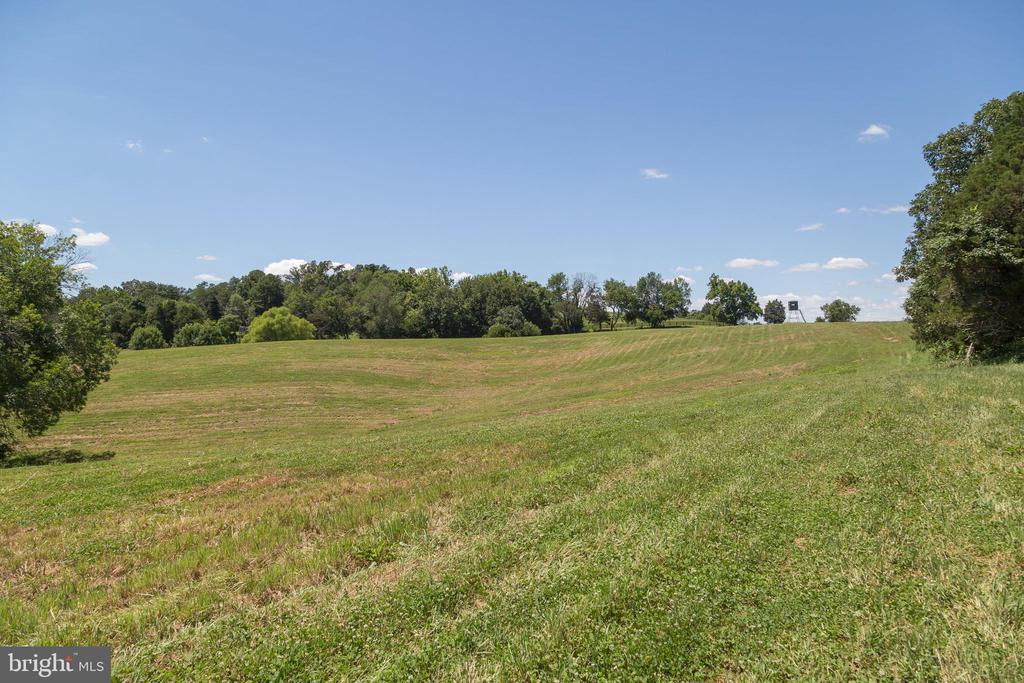 240 STONELEIGH RD, PALMYRA, Virginia 22963, 6 Bedrooms Bedrooms, ,4 BathroomsBathrooms,Residential,14,240 STONELEIGH RD,VAFN2000496 MLS # VAFN2000496 240 STONELEIGH RD, PALMYRA, Virginia 22963, 6 Bedrooms Bedrooms, ,4 BathroomsBathrooms,Residential,14,240 STONELEIGH RD,VAFN2000496 MLS # VAFN2000496