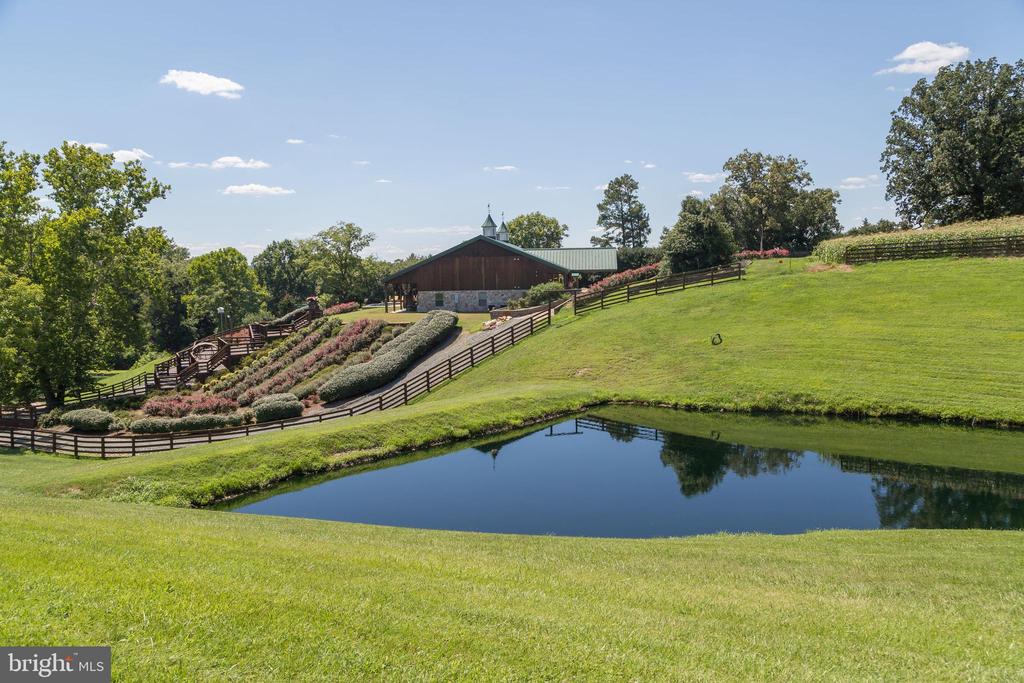 240 STONELEIGH RD, PALMYRA, Virginia 22963, 6 Bedrooms Bedrooms, ,4 BathroomsBathrooms,Residential,14,240 STONELEIGH RD,VAFN2000496 MLS # VAFN2000496 240 STONELEIGH RD, PALMYRA, Virginia 22963, 6 Bedrooms Bedrooms, ,4 BathroomsBathrooms,Residential,14,240 STONELEIGH RD,VAFN2000496 MLS # VAFN2000496