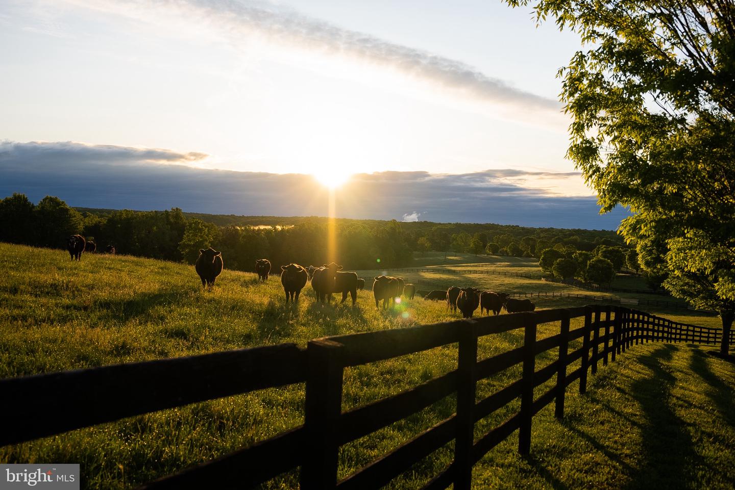 6887 BLENHEIM ROAD, SCOTTSVILLE, Virginia 24590, ,Residential,For Sale,6887 BLENHEIM ROAD,VAAB2001060 MLS # VAAB2001060 6887 BLENHEIM ROAD, SCOTTSVILLE, Virginia 24590, ,Residential,For Sale,6887 BLENHEIM ROAD,VAAB2001060 MLS # VAAB2001060