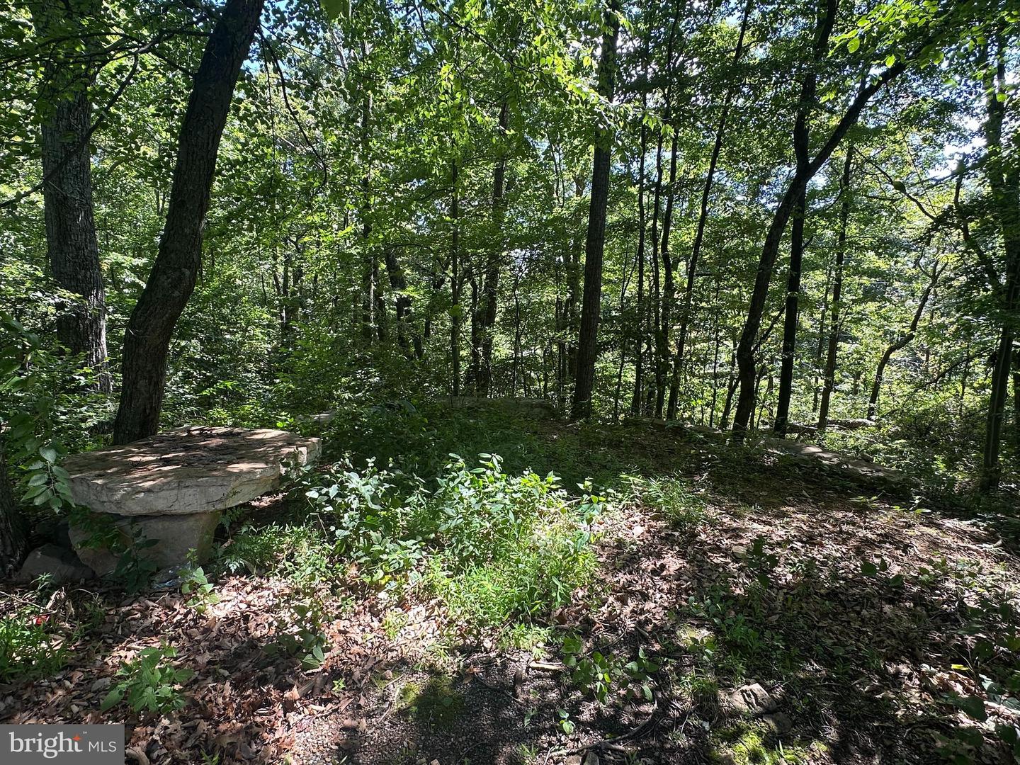 LOT 13 GREAT MOUNTAIN LN, WINCHESTER, Virginia 22602, ,Farm,For Sale,LOT 13 GREAT MOUNTAIN LN,VAFV2036432 MLS # VAFV2036432