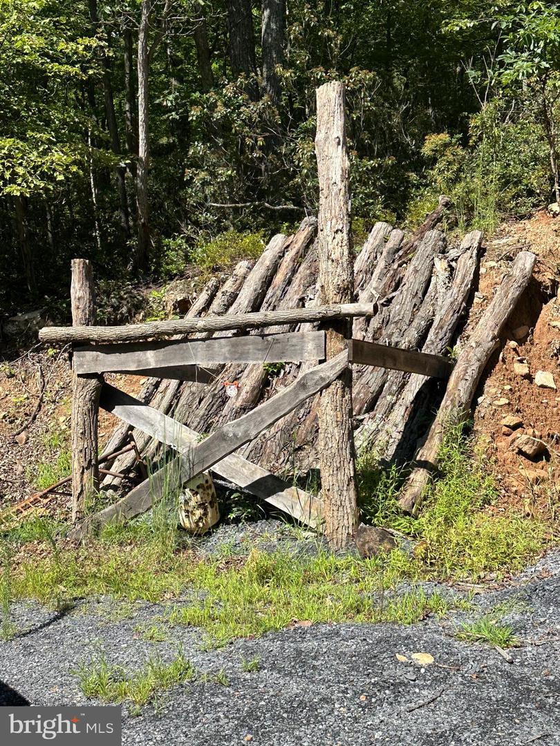 LOT 13 GREAT MOUNTAIN LN, WINCHESTER, Virginia 22602, ,Farm,For Sale,LOT 13 GREAT MOUNTAIN LN,VAFV2036432 MLS # VAFV2036432