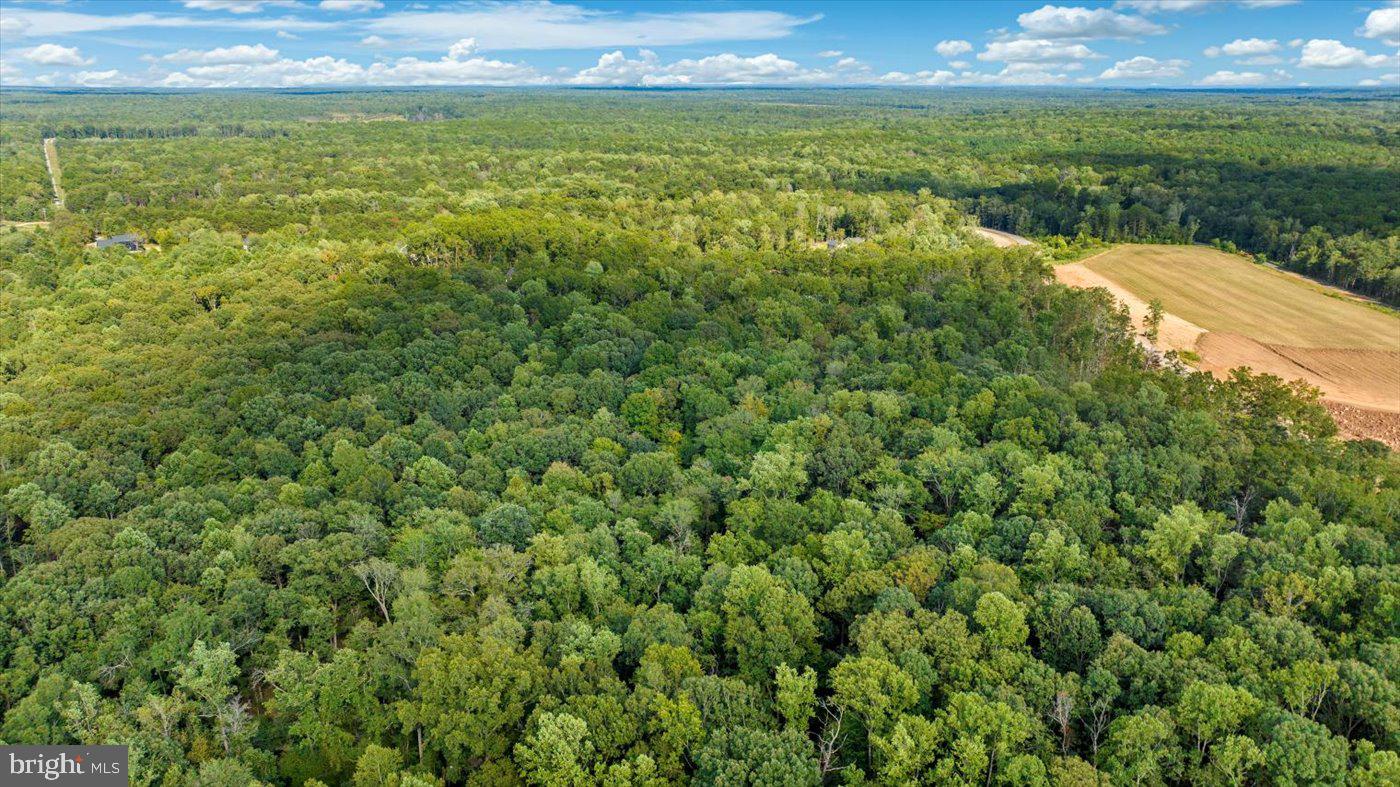 12102 BRENT TOWN RD, CATLETT, Virginia 20119, 5 Bedrooms Bedrooms, ,4 BathroomsBathrooms,Residential,For Sale,12102 BRENT TOWN RD,VAFQ2018034 MLS # VAFQ2018034