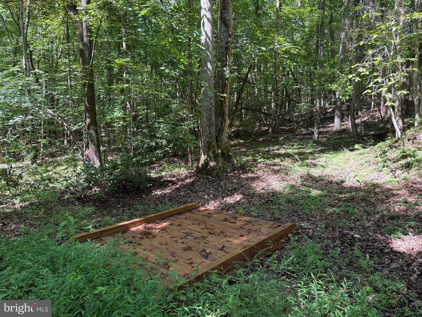 2082 LITTLE DOGWOOD ROAD, SPOUT SPRING, Virginia 24593, 2 Bedrooms Bedrooms, ,2 BathroomsBathrooms,Farm,For Sale,2082 LITTLE DOGWOOD ROAD,VAAV2000034 MLS # VAAV2000034 2082 LITTLE DOGWOOD ROAD, SPOUT SPRING, Virginia 24593, 2 Bedrooms Bedrooms, ,2 BathroomsBathrooms,Farm,For Sale,2082 LITTLE DOGWOOD ROAD,VAAV2000034 MLS # VAAV2000034