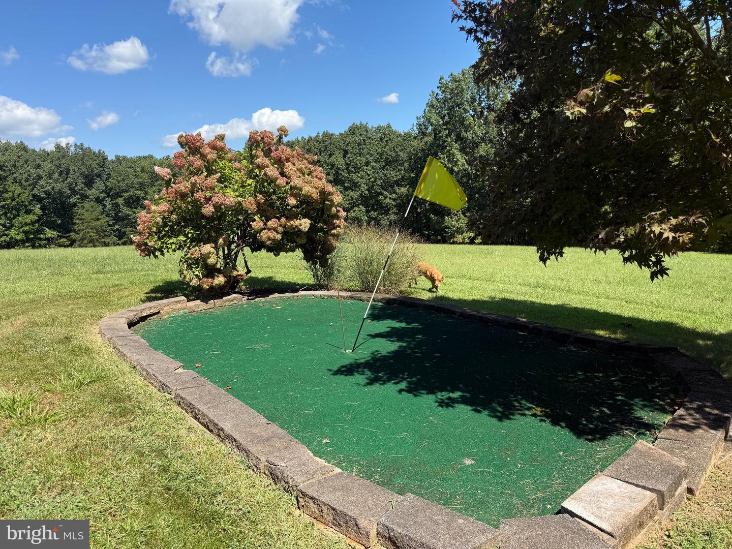 2082 LITTLE DOGWOOD ROAD, SPOUT SPRING, Virginia 24593, 2 Bedrooms Bedrooms, ,2 BathroomsBathrooms,Farm,For Sale,2082 LITTLE DOGWOOD ROAD,VAAV2000034 MLS # VAAV2000034 2082 LITTLE DOGWOOD ROAD, SPOUT SPRING, Virginia 24593, 2 Bedrooms Bedrooms, ,2 BathroomsBathrooms,Farm,For Sale,2082 LITTLE DOGWOOD ROAD,VAAV2000034 MLS # VAAV2000034