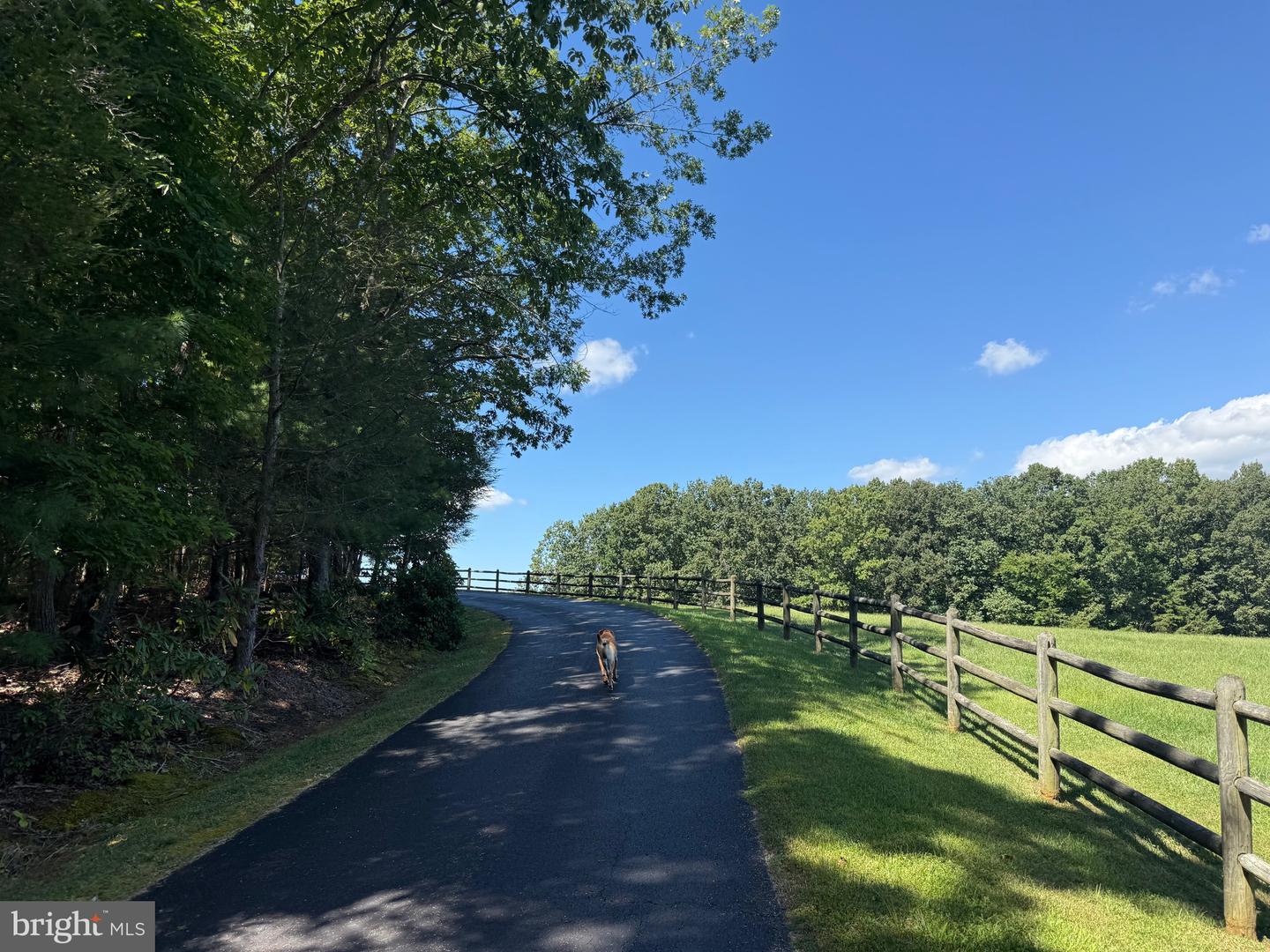 2082 LITTLE DOGWOOD ROAD, SPOUT SPRING, Virginia 24593, 2 Bedrooms Bedrooms, ,2 BathroomsBathrooms,Farm,For Sale,2082 LITTLE DOGWOOD ROAD,VAAV2000034 MLS # VAAV2000034 2082 LITTLE DOGWOOD ROAD, SPOUT SPRING, Virginia 24593, 2 Bedrooms Bedrooms, ,2 BathroomsBathrooms,Farm,For Sale,2082 LITTLE DOGWOOD ROAD,VAAV2000034 MLS # VAAV2000034