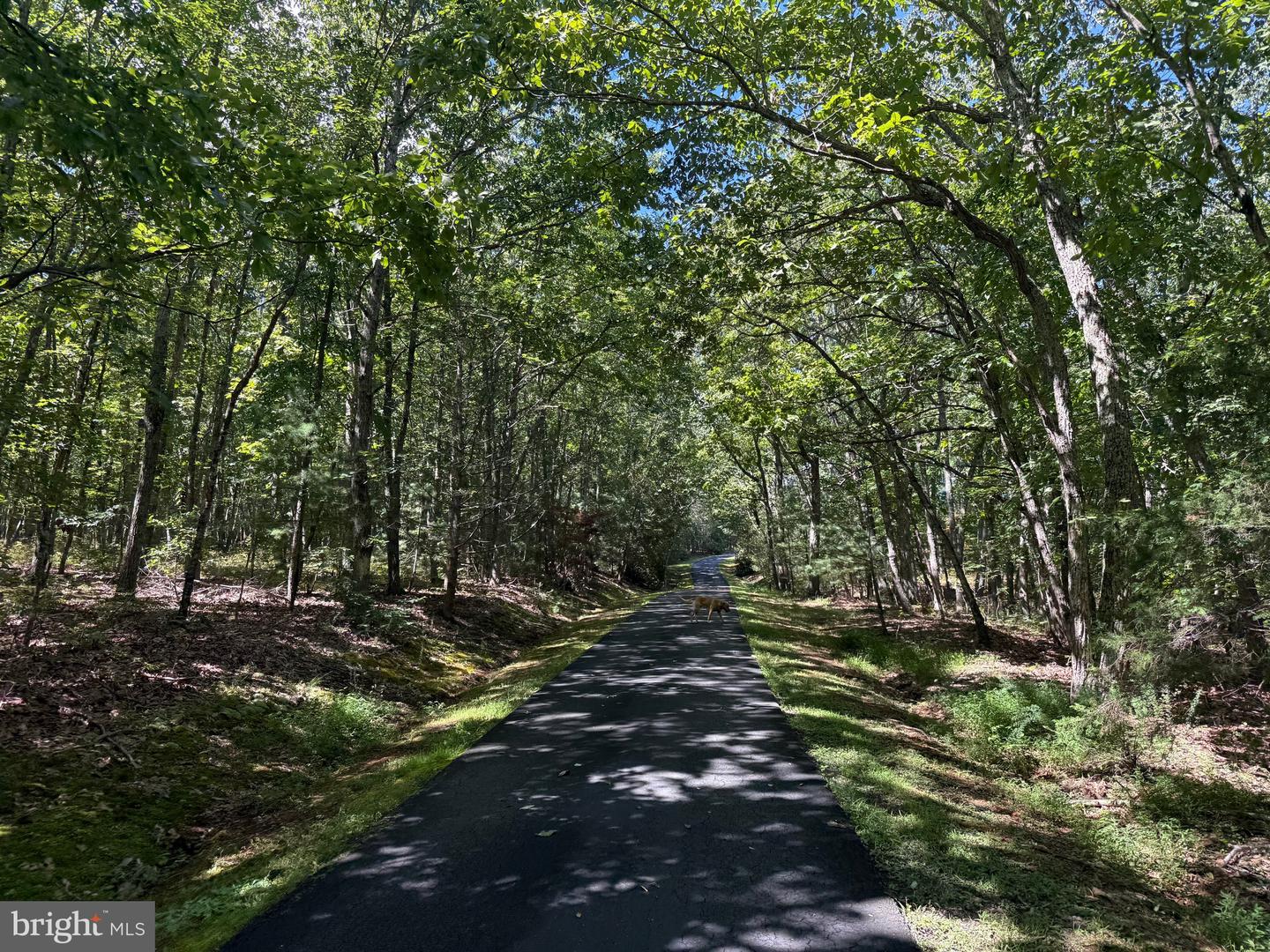 2082 LITTLE DOGWOOD ROAD, SPOUT SPRING, Virginia 24593, 2 Bedrooms Bedrooms, ,2 BathroomsBathrooms,Farm,For Sale,2082 LITTLE DOGWOOD ROAD,VAAV2000034 MLS # VAAV2000034 2082 LITTLE DOGWOOD ROAD, SPOUT SPRING, Virginia 24593, 2 Bedrooms Bedrooms, ,2 BathroomsBathrooms,Farm,For Sale,2082 LITTLE DOGWOOD ROAD,VAAV2000034 MLS # VAAV2000034