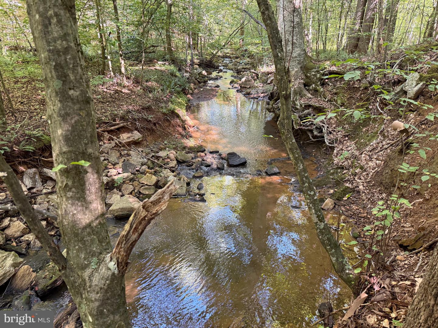 2082 LITTLE DOGWOOD ROAD, SPOUT SPRING, Virginia 24593, 2 Bedrooms Bedrooms, ,2 BathroomsBathrooms,Farm,For Sale,2082 LITTLE DOGWOOD ROAD,VAAV2000034 MLS # VAAV2000034 2082 LITTLE DOGWOOD ROAD, SPOUT SPRING, Virginia 24593, 2 Bedrooms Bedrooms, ,2 BathroomsBathrooms,Farm,For Sale,2082 LITTLE DOGWOOD ROAD,VAAV2000034 MLS # VAAV2000034