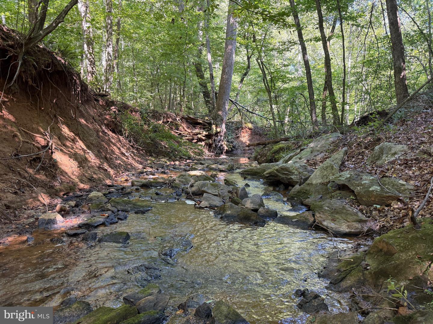 2082 LITTLE DOGWOOD ROAD, SPOUT SPRING, Virginia 24593, 2 Bedrooms Bedrooms, ,2 BathroomsBathrooms,Farm,For Sale,2082 LITTLE DOGWOOD ROAD,VAAV2000034 MLS # VAAV2000034 2082 LITTLE DOGWOOD ROAD, SPOUT SPRING, Virginia 24593, 2 Bedrooms Bedrooms, ,2 BathroomsBathrooms,Farm,For Sale,2082 LITTLE DOGWOOD ROAD,VAAV2000034 MLS # VAAV2000034