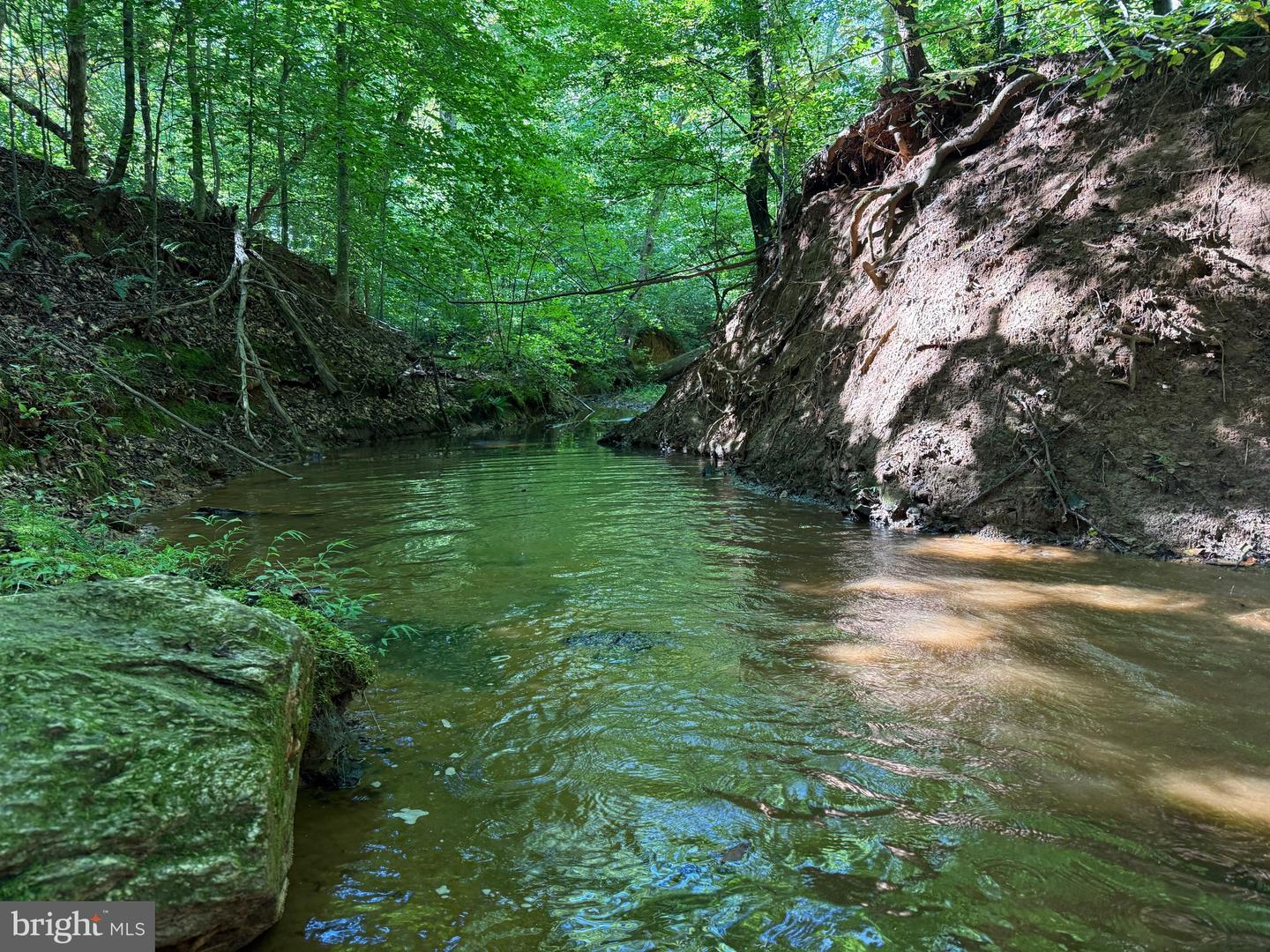 2082 LITTLE DOGWOOD ROAD, SPOUT SPRING, Virginia 24593, 2 Bedrooms Bedrooms, ,2 BathroomsBathrooms,Farm,For Sale,2082 LITTLE DOGWOOD ROAD,VAAV2000034 MLS # VAAV2000034 2082 LITTLE DOGWOOD ROAD, SPOUT SPRING, Virginia 24593, 2 Bedrooms Bedrooms, ,2 BathroomsBathrooms,Farm,For Sale,2082 LITTLE DOGWOOD ROAD,VAAV2000034 MLS # VAAV2000034
