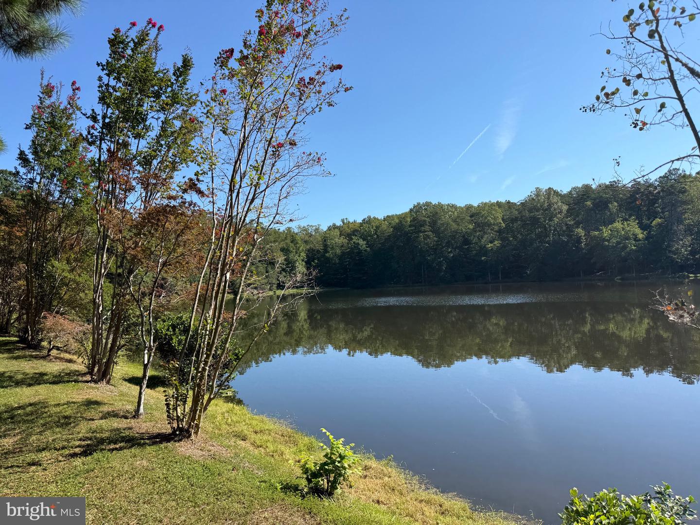 2082 LITTLE DOGWOOD ROAD, SPOUT SPRING, Virginia 24593, 2 Bedrooms Bedrooms, ,2 BathroomsBathrooms,Farm,For Sale,2082 LITTLE DOGWOOD ROAD,VAAV2000034 MLS # VAAV2000034 2082 LITTLE DOGWOOD ROAD, SPOUT SPRING, Virginia 24593, 2 Bedrooms Bedrooms, ,2 BathroomsBathrooms,Farm,For Sale,2082 LITTLE DOGWOOD ROAD,VAAV2000034 MLS # VAAV2000034