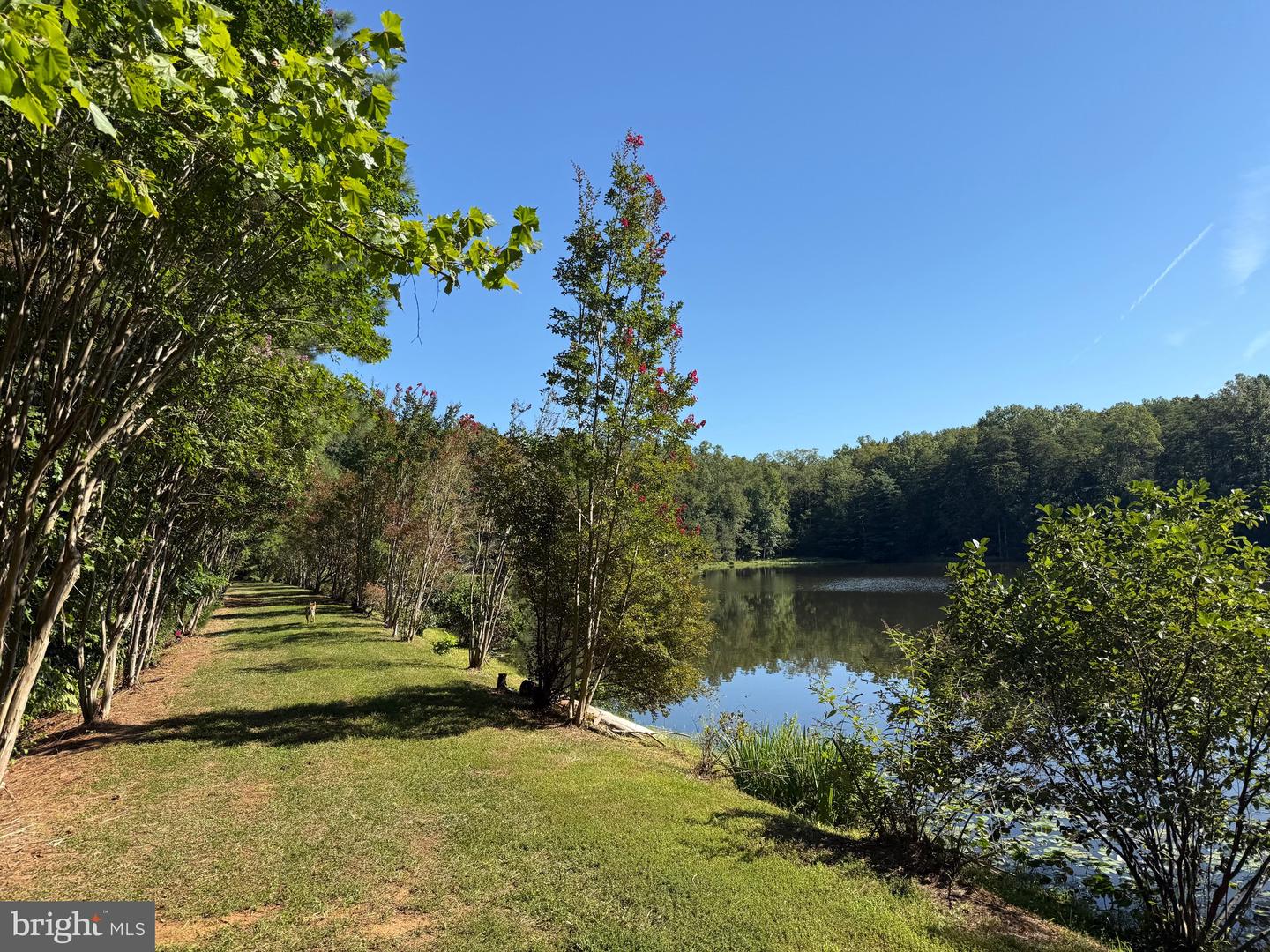 2082 LITTLE DOGWOOD ROAD, SPOUT SPRING, Virginia 24593, 2 Bedrooms Bedrooms, ,2 BathroomsBathrooms,Farm,For Sale,2082 LITTLE DOGWOOD ROAD,VAAV2000034 MLS # VAAV2000034 2082 LITTLE DOGWOOD ROAD, SPOUT SPRING, Virginia 24593, 2 Bedrooms Bedrooms, ,2 BathroomsBathrooms,Farm,For Sale,2082 LITTLE DOGWOOD ROAD,VAAV2000034 MLS # VAAV2000034