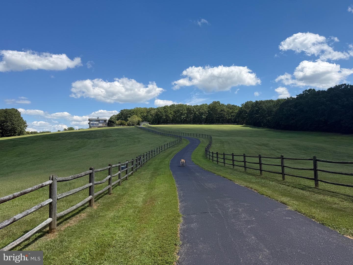 2082 LITTLE DOGWOOD ROAD, SPOUT SPRING, Virginia 24593, 2 Bedrooms Bedrooms, ,2 BathroomsBathrooms,Farm,For Sale,2082 LITTLE DOGWOOD ROAD,VAAV2000034 MLS # VAAV2000034 2082 LITTLE DOGWOOD ROAD, SPOUT SPRING, Virginia 24593, 2 Bedrooms Bedrooms, ,2 BathroomsBathrooms,Farm,For Sale,2082 LITTLE DOGWOOD ROAD,VAAV2000034 MLS # VAAV2000034