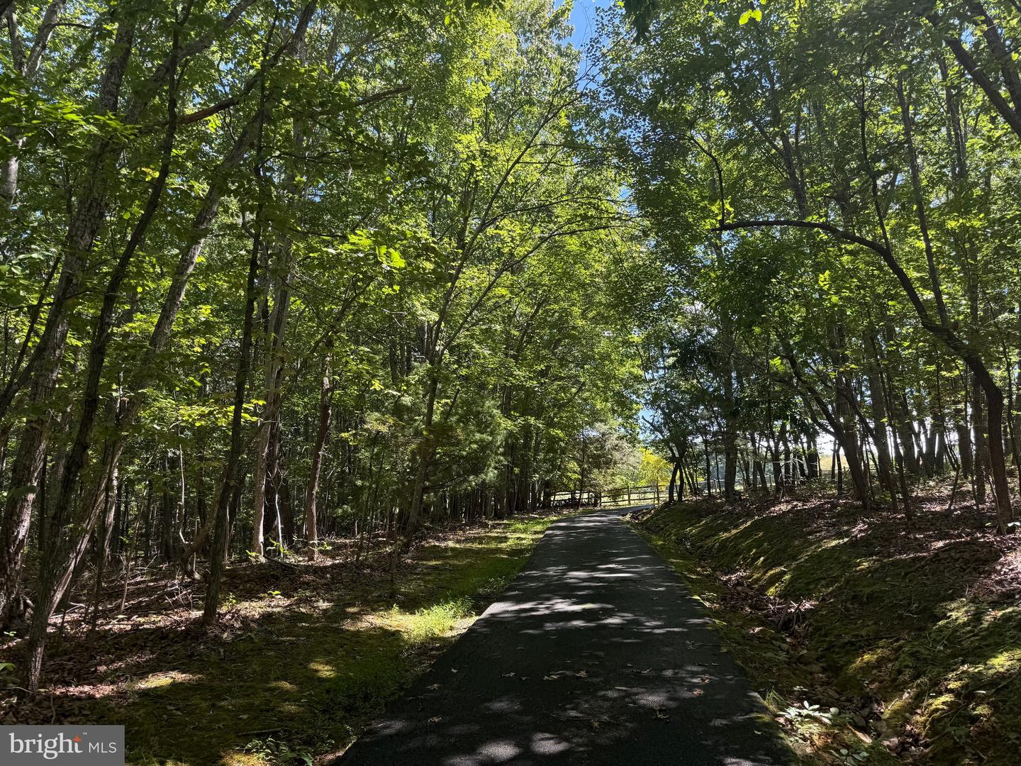 2082 LITTLE DOGWOOD ROAD, SPOUT SPRING, Virginia 24593, 2 Bedrooms Bedrooms, ,2 BathroomsBathrooms,Farm,For Sale,2082 LITTLE DOGWOOD ROAD,VAAV2000034 MLS # VAAV2000034 2082 LITTLE DOGWOOD ROAD, SPOUT SPRING, Virginia 24593, 2 Bedrooms Bedrooms, ,2 BathroomsBathrooms,Farm,For Sale,2082 LITTLE DOGWOOD ROAD,VAAV2000034 MLS # VAAV2000034