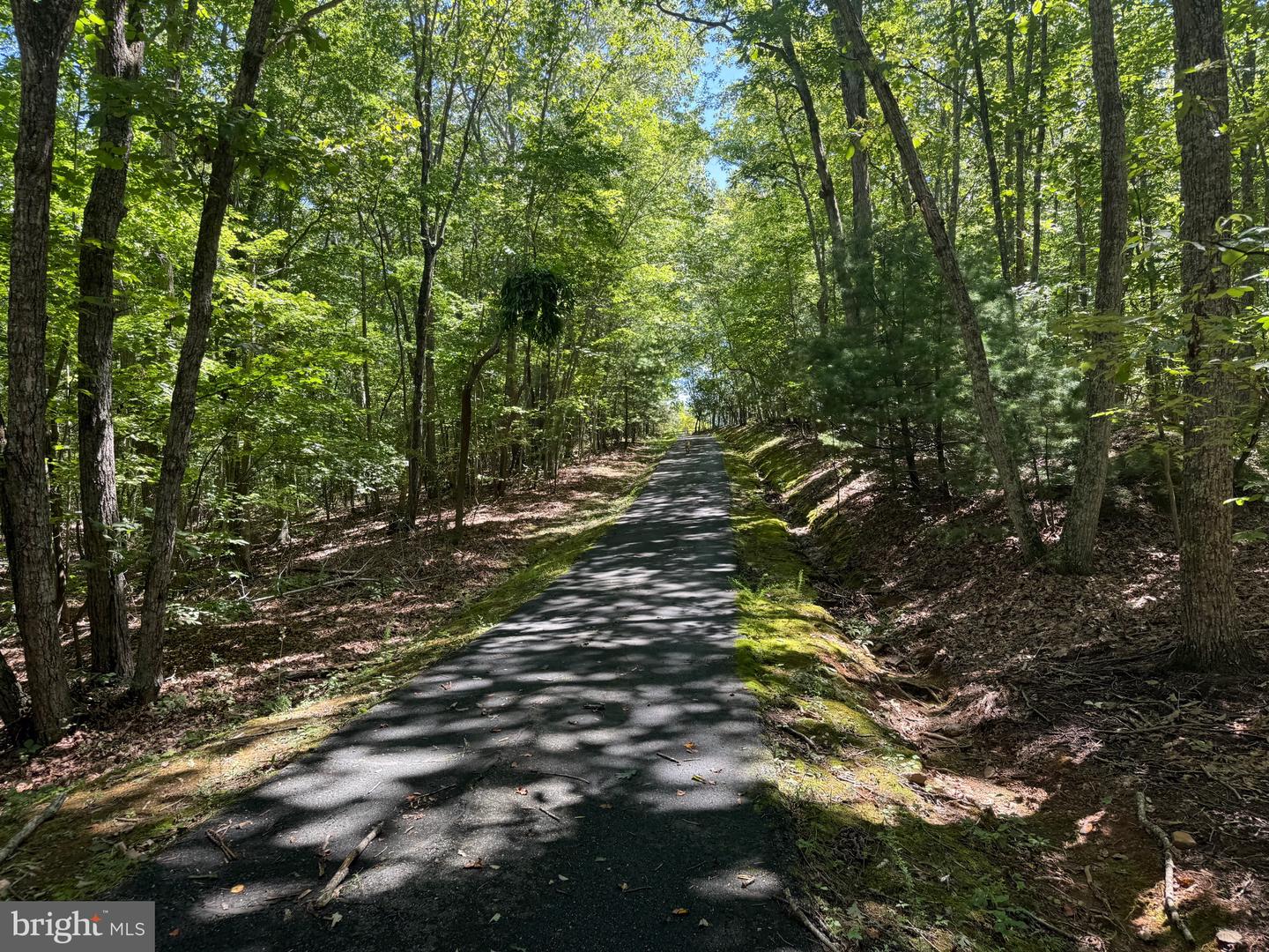 2082 LITTLE DOGWOOD ROAD, SPOUT SPRING, Virginia 24593, 2 Bedrooms Bedrooms, ,2 BathroomsBathrooms,Farm,For Sale,2082 LITTLE DOGWOOD ROAD,VAAV2000034 MLS # VAAV2000034 2082 LITTLE DOGWOOD ROAD, SPOUT SPRING, Virginia 24593, 2 Bedrooms Bedrooms, ,2 BathroomsBathrooms,Farm,For Sale,2082 LITTLE DOGWOOD ROAD,VAAV2000034 MLS # VAAV2000034