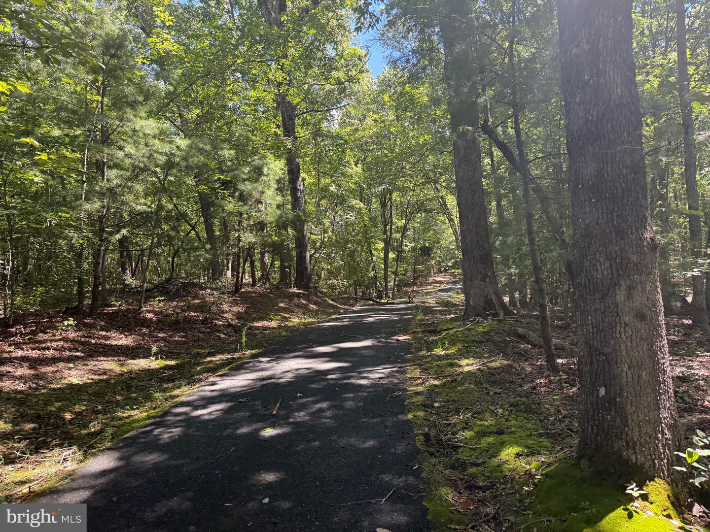 2082 LITTLE DOGWOOD ROAD, SPOUT SPRING, Virginia 24593, 2 Bedrooms Bedrooms, ,2 BathroomsBathrooms,Farm,For Sale,2082 LITTLE DOGWOOD ROAD,VAAV2000034 MLS # VAAV2000034 2082 LITTLE DOGWOOD ROAD, SPOUT SPRING, Virginia 24593, 2 Bedrooms Bedrooms, ,2 BathroomsBathrooms,Farm,For Sale,2082 LITTLE DOGWOOD ROAD,VAAV2000034 MLS # VAAV2000034