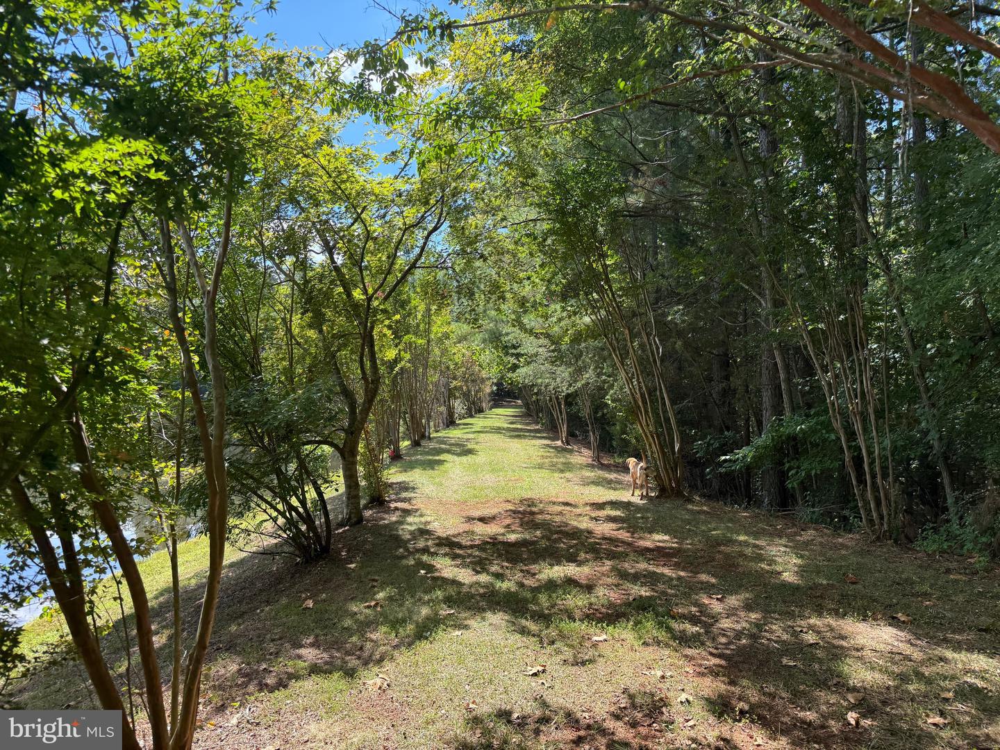 2082 LITTLE DOGWOOD ROAD, SPOUT SPRING, Virginia 24593, 2 Bedrooms Bedrooms, ,2 BathroomsBathrooms,Farm,For Sale,2082 LITTLE DOGWOOD ROAD,VAAV2000034 MLS # VAAV2000034 2082 LITTLE DOGWOOD ROAD, SPOUT SPRING, Virginia 24593, 2 Bedrooms Bedrooms, ,2 BathroomsBathrooms,Farm,For Sale,2082 LITTLE DOGWOOD ROAD,VAAV2000034 MLS # VAAV2000034