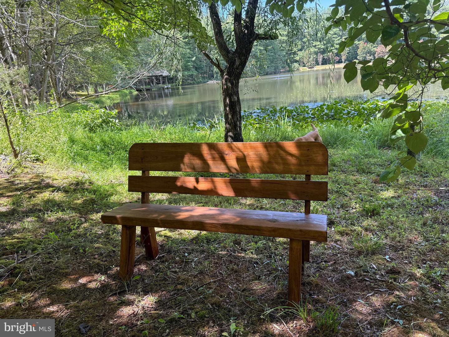 2082 LITTLE DOGWOOD ROAD, SPOUT SPRING, Virginia 24593, 2 Bedrooms Bedrooms, ,2 BathroomsBathrooms,Farm,For Sale,2082 LITTLE DOGWOOD ROAD,VAAV2000034 MLS # VAAV2000034 2082 LITTLE DOGWOOD ROAD, SPOUT SPRING, Virginia 24593, 2 Bedrooms Bedrooms, ,2 BathroomsBathrooms,Farm,For Sale,2082 LITTLE DOGWOOD ROAD,VAAV2000034 MLS # VAAV2000034