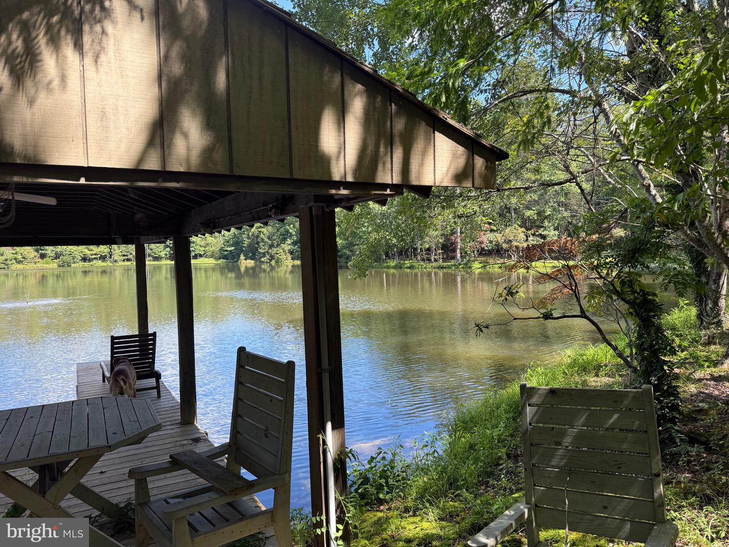 2082 LITTLE DOGWOOD ROAD, SPOUT SPRING, Virginia 24593, 2 Bedrooms Bedrooms, ,2 BathroomsBathrooms,Farm,For Sale,2082 LITTLE DOGWOOD ROAD,VAAV2000034 MLS # VAAV2000034 2082 LITTLE DOGWOOD ROAD, SPOUT SPRING, Virginia 24593, 2 Bedrooms Bedrooms, ,2 BathroomsBathrooms,Farm,For Sale,2082 LITTLE DOGWOOD ROAD,VAAV2000034 MLS # VAAV2000034