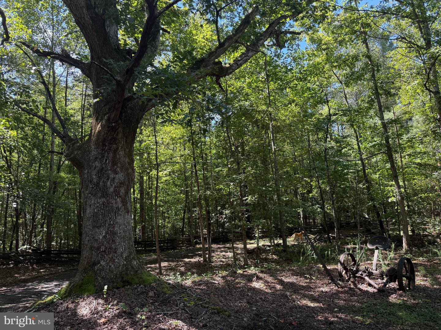 2082 LITTLE DOGWOOD ROAD, SPOUT SPRING, Virginia 24593, 2 Bedrooms Bedrooms, ,2 BathroomsBathrooms,Farm,For Sale,2082 LITTLE DOGWOOD ROAD,VAAV2000034 MLS # VAAV2000034 2082 LITTLE DOGWOOD ROAD, SPOUT SPRING, Virginia 24593, 2 Bedrooms Bedrooms, ,2 BathroomsBathrooms,Farm,For Sale,2082 LITTLE DOGWOOD ROAD,VAAV2000034 MLS # VAAV2000034
