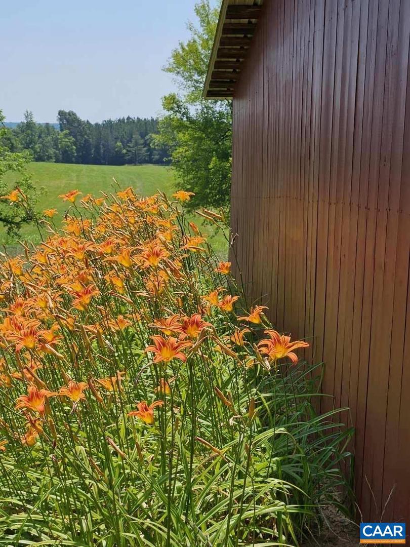 1501 SAXKEY RD, DRAKES BRANCH, Virginia 23937, 4 Bedrooms Bedrooms, ,2 BathroomsBathrooms,Residential,For Sale,1501 SAXKEY RD,668514 MLS # 668514