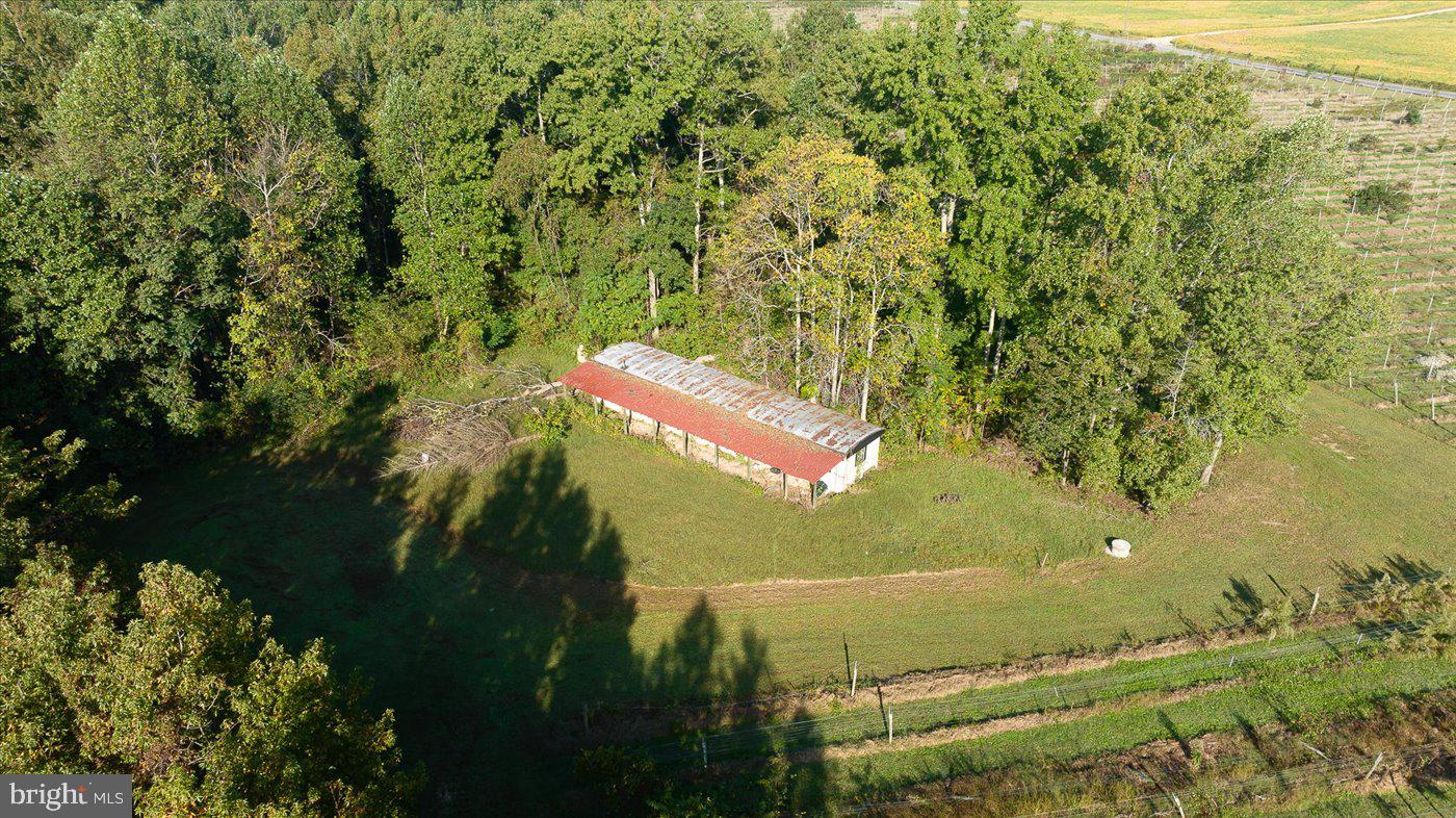 667 HUSTLE RD, HUSTLE, Virginia 22476, 6 Bedrooms Bedrooms, ,3 BathroomsBathrooms,Farm,For Sale,667 HUSTLE RD,VAES2001998 MLS # VAES2001998