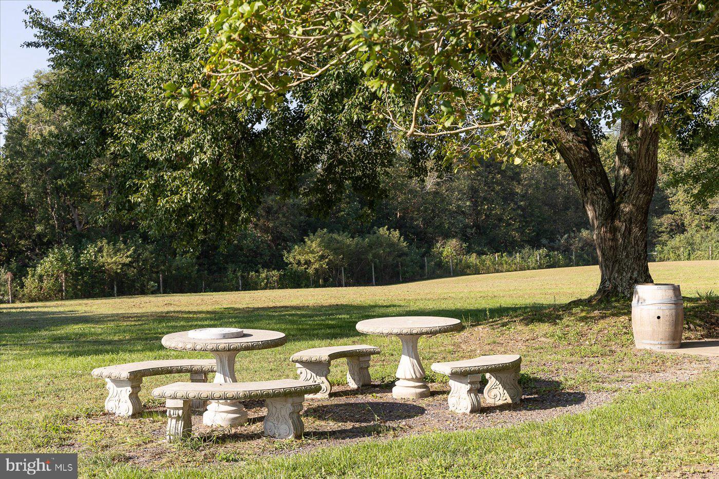 667 HUSTLE RD, HUSTLE, Virginia 22476, 6 Bedrooms Bedrooms, ,3 BathroomsBathrooms,Residential,For Sale,667 HUSTLE RD,VAES2001996 MLS # VAES2001996