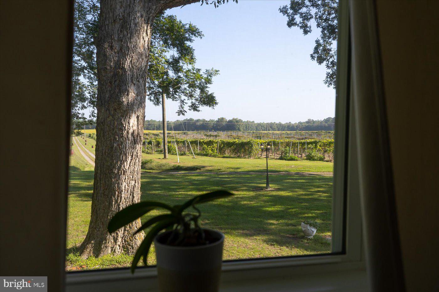 667 HUSTLE RD, HUSTLE, Virginia 22476, 6 Bedrooms Bedrooms, ,3 BathroomsBathrooms,Residential,For Sale,667 HUSTLE RD,VAES2001996 MLS # VAES2001996